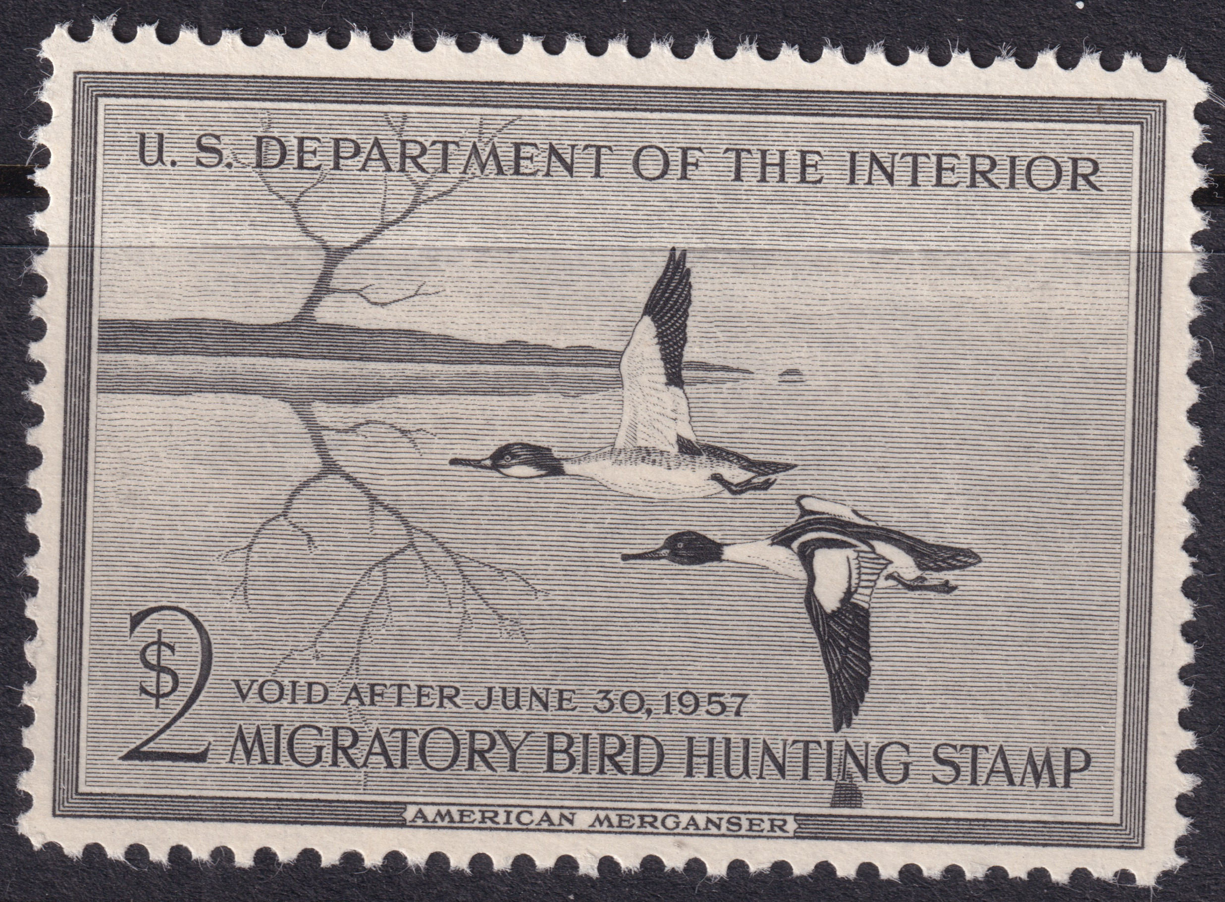 Stamp Picture