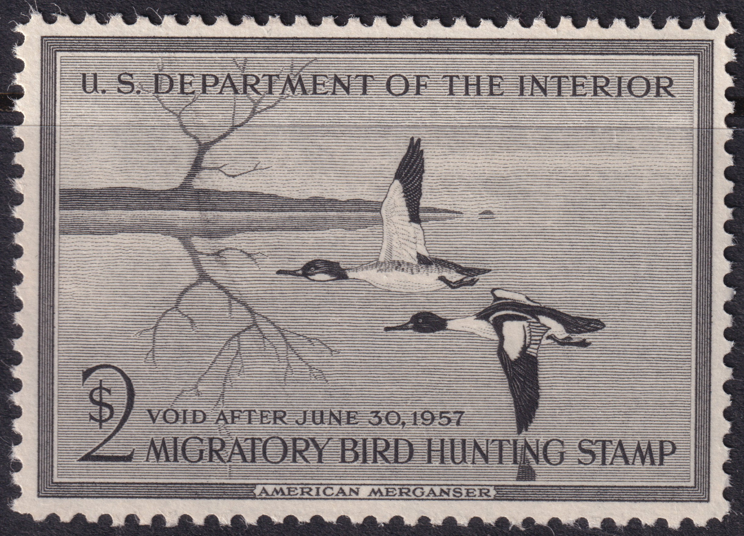 Stamp Picture