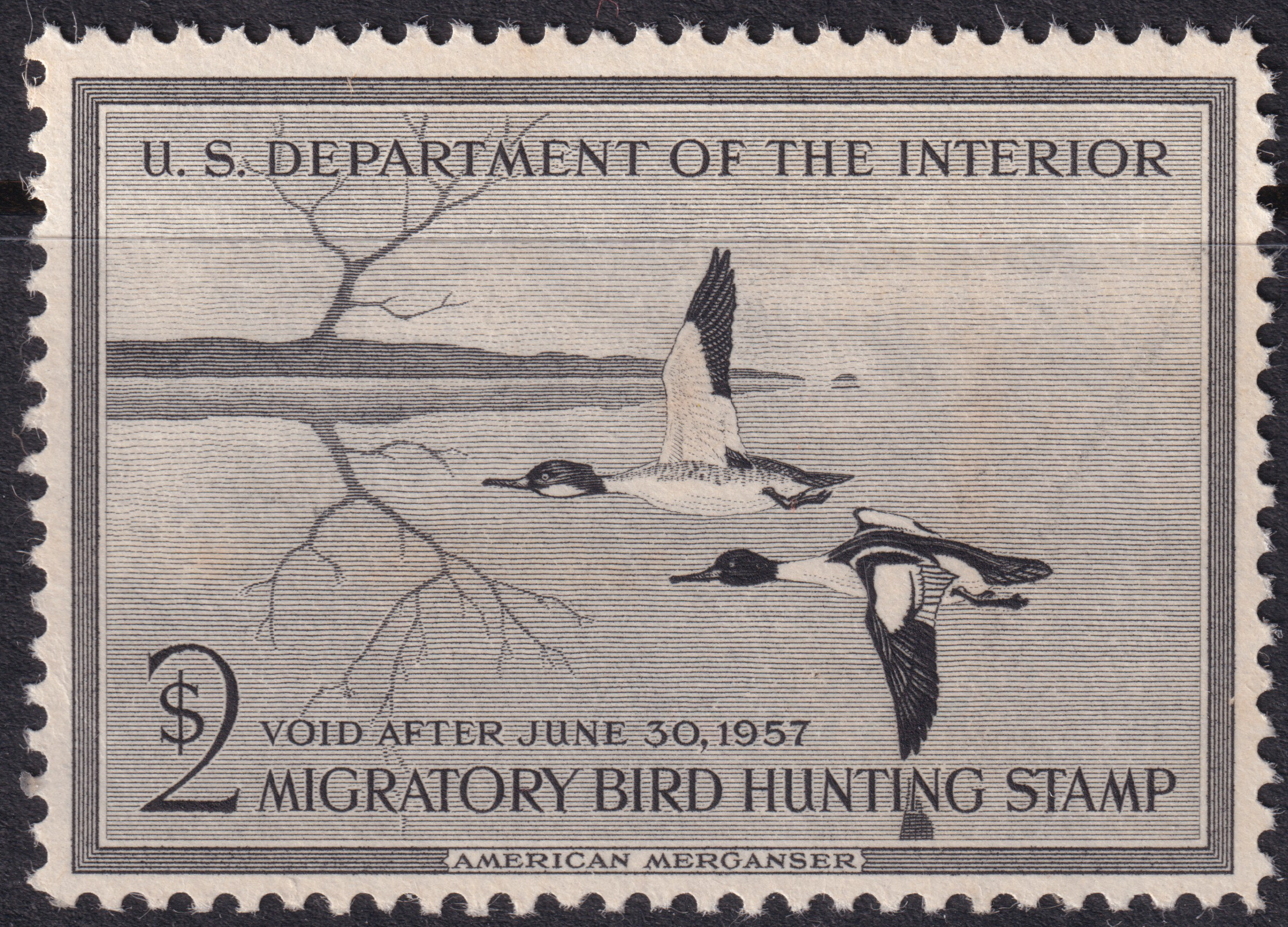 Stamp Picture