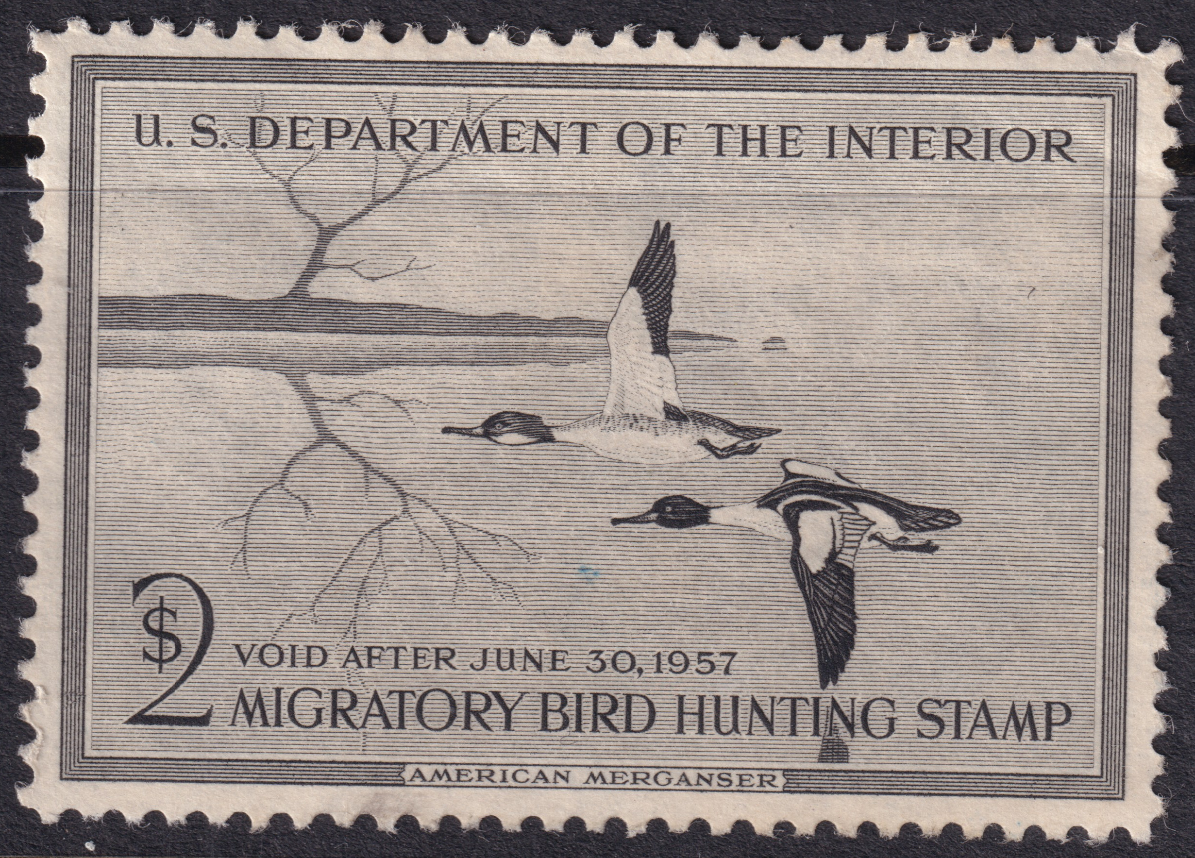 Stamp Picture