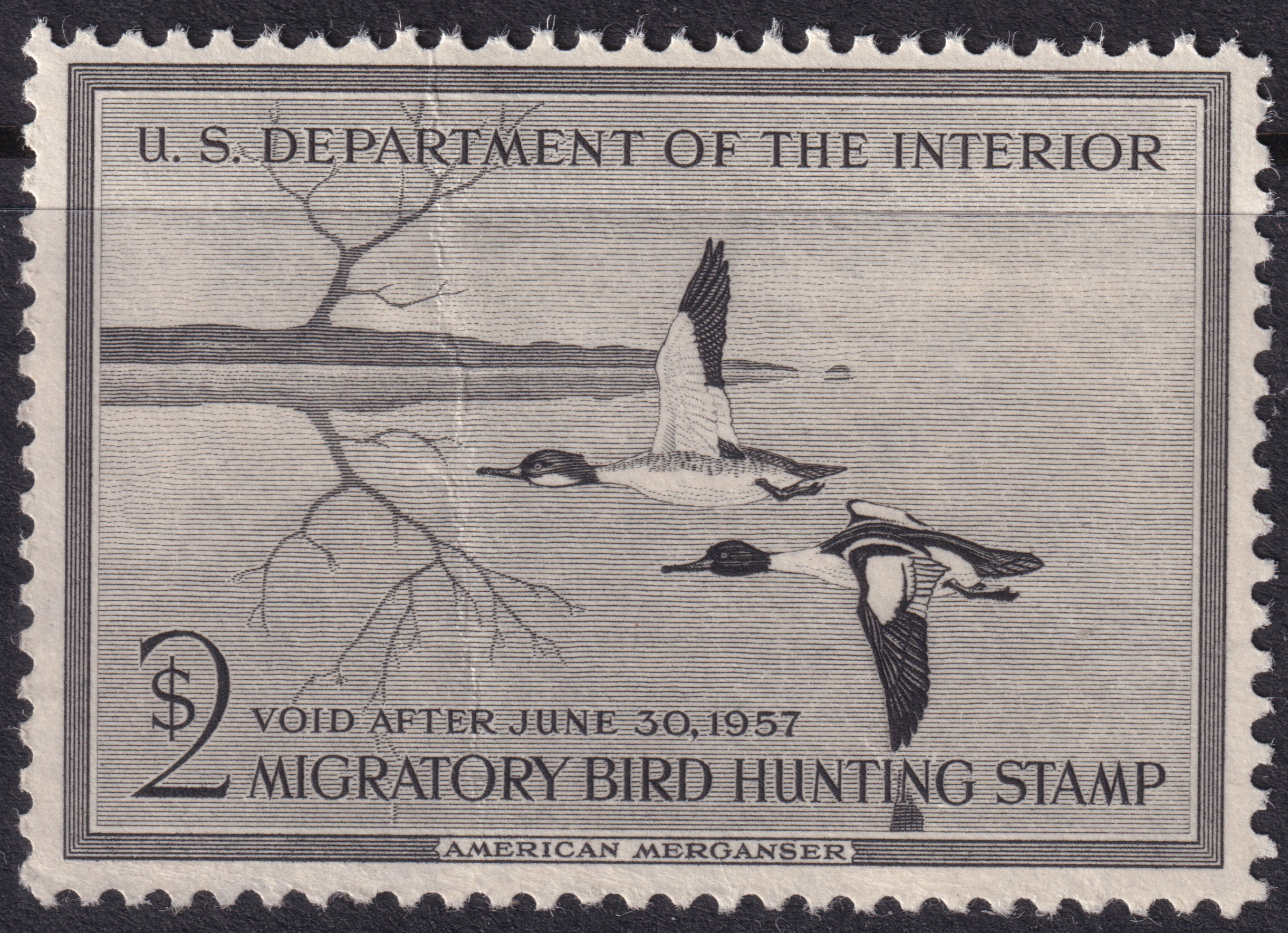 Stamp Picture