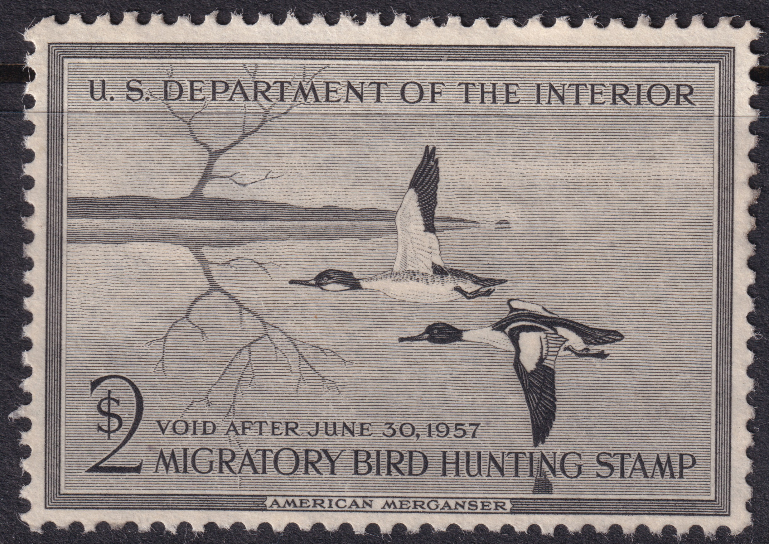 Stamp Picture