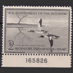 Picture of Lot #55257