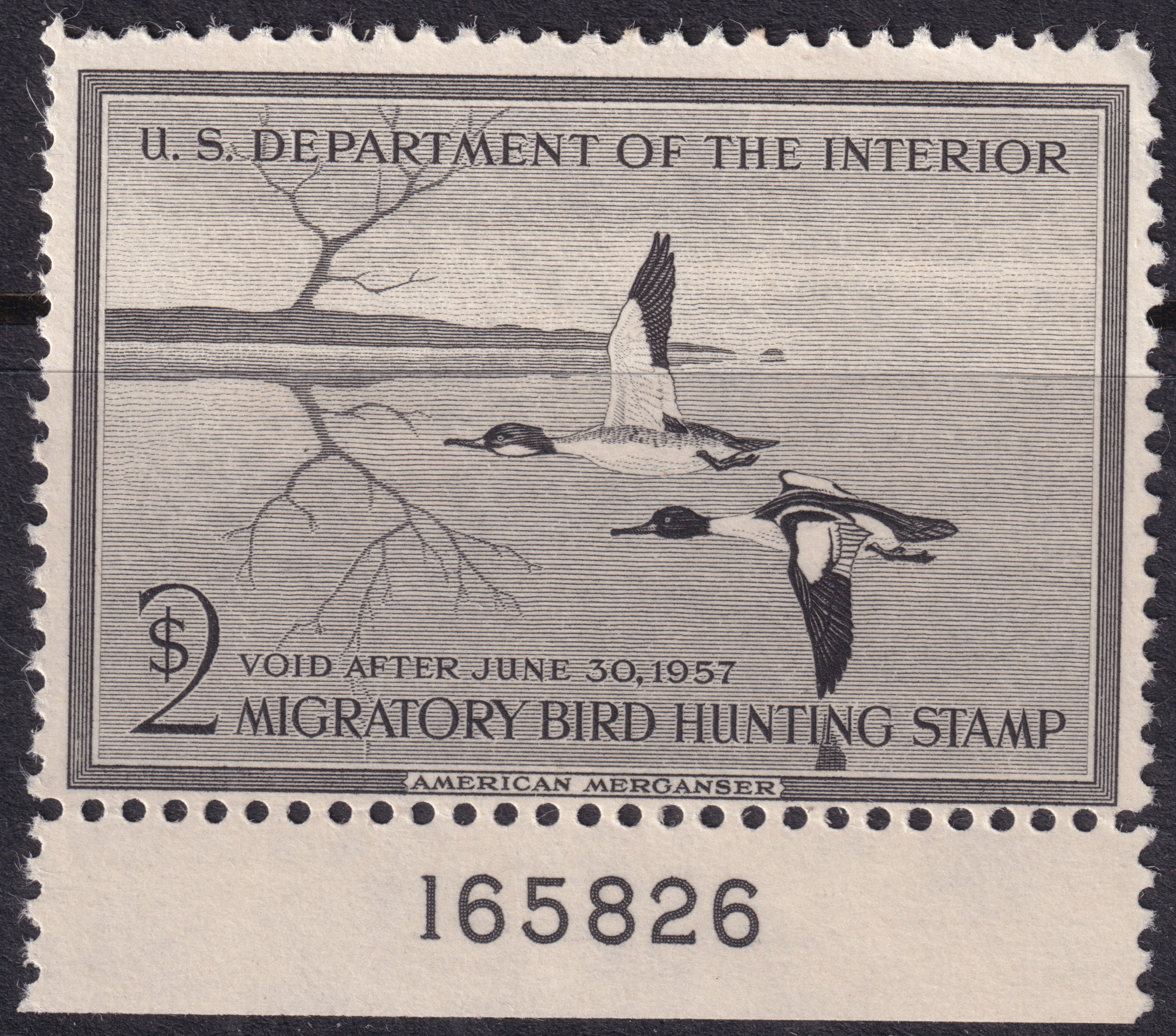 Stamp Picture