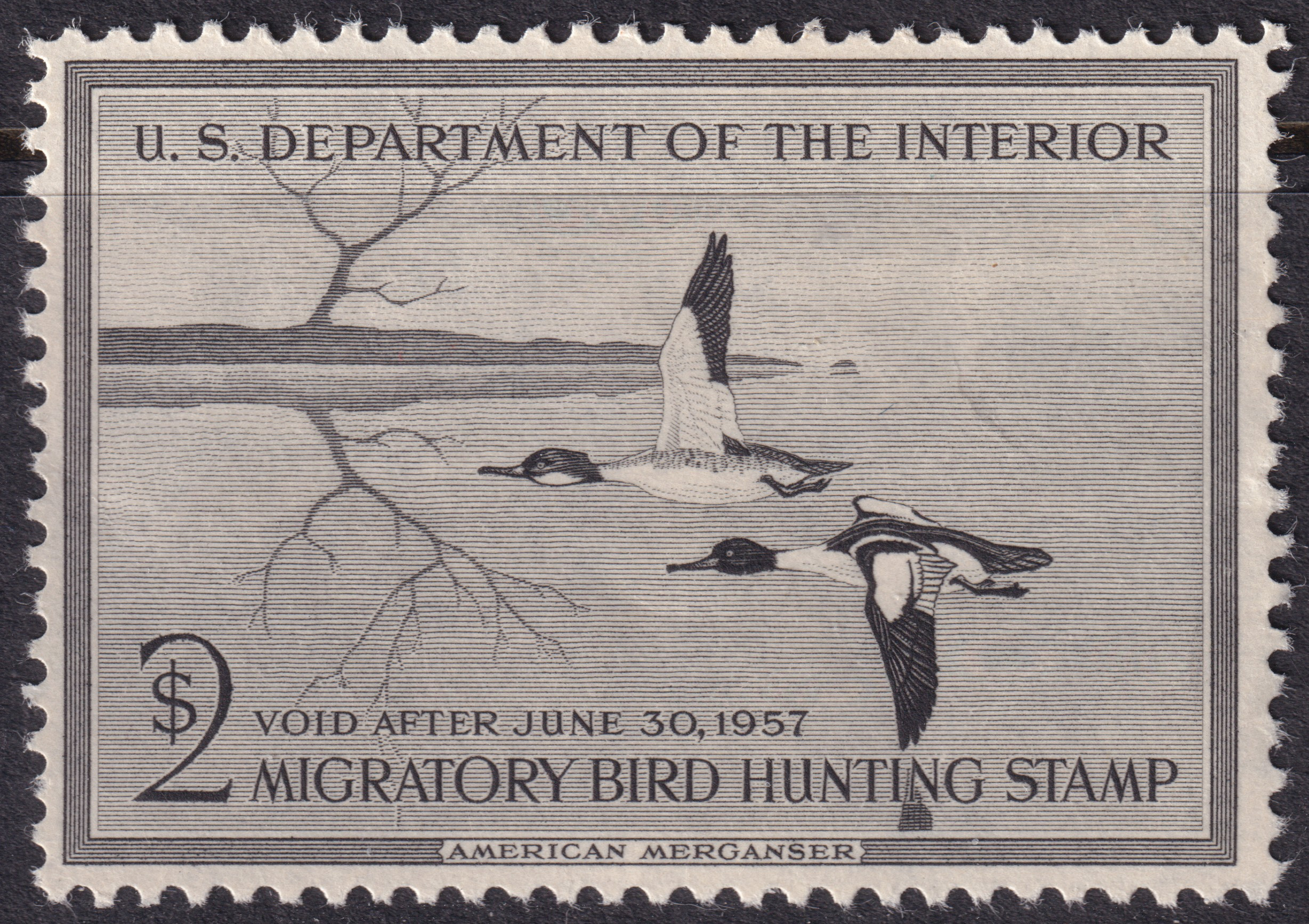 Stamp Picture