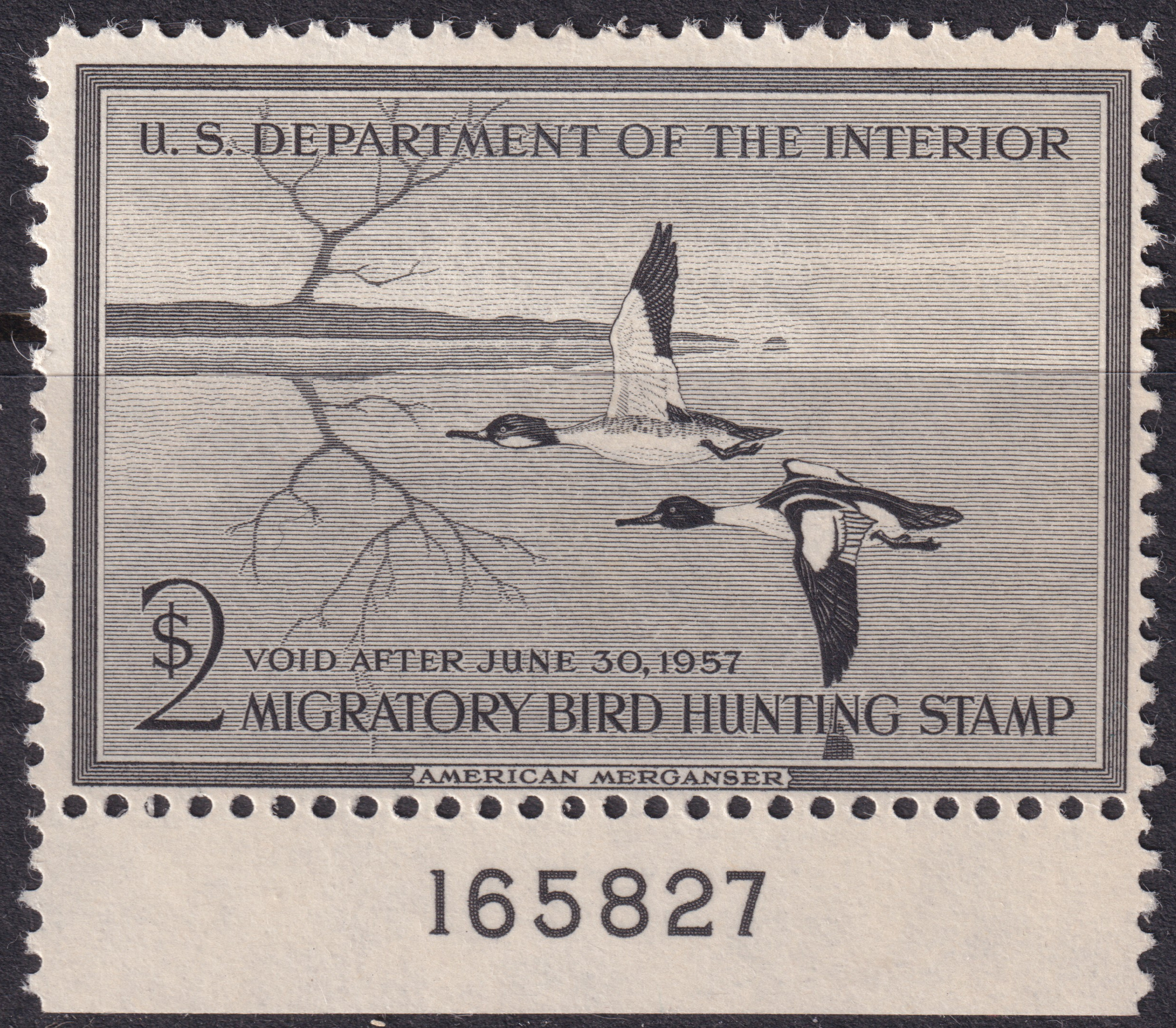 Stamp Picture