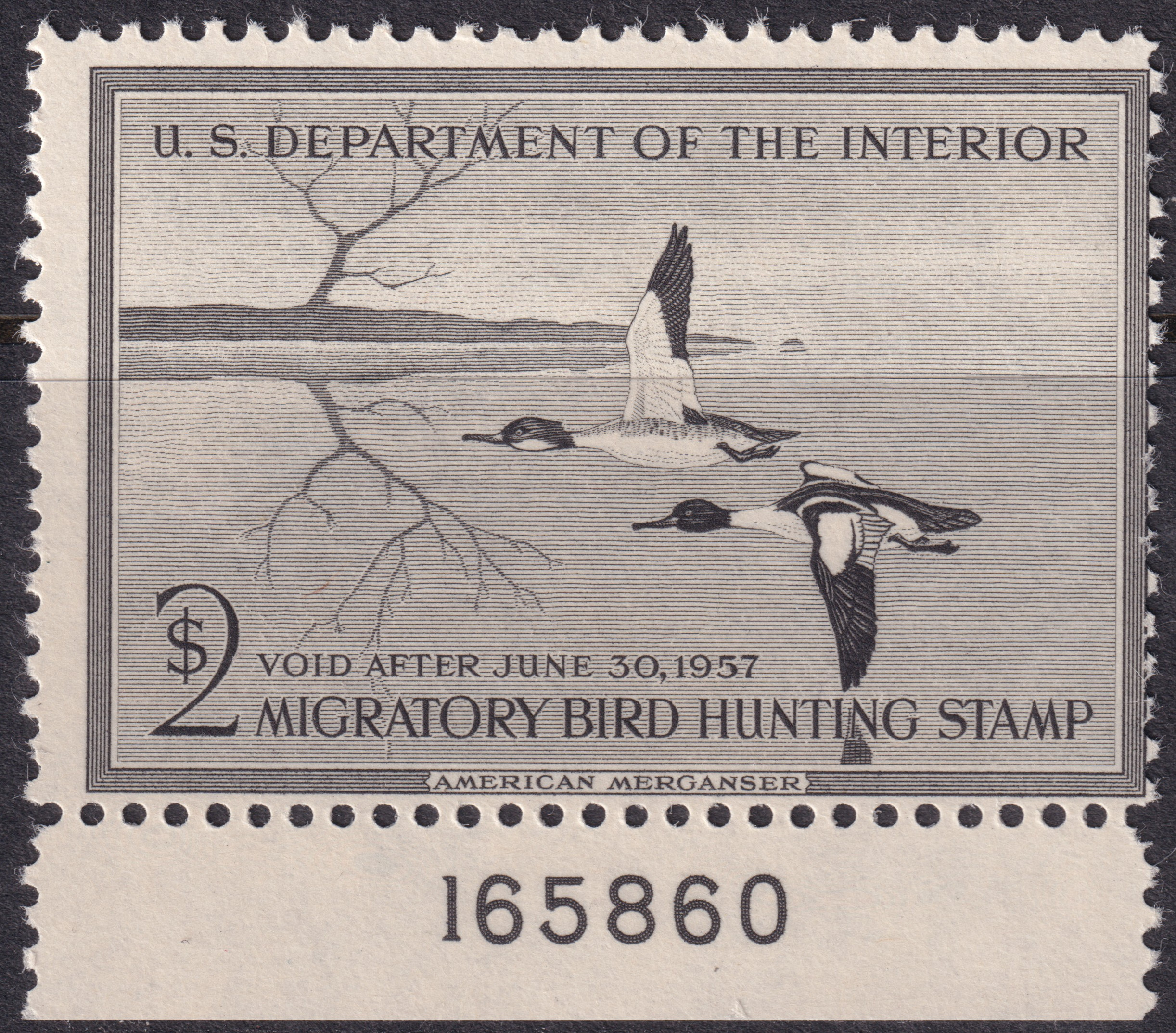 Stamp Picture