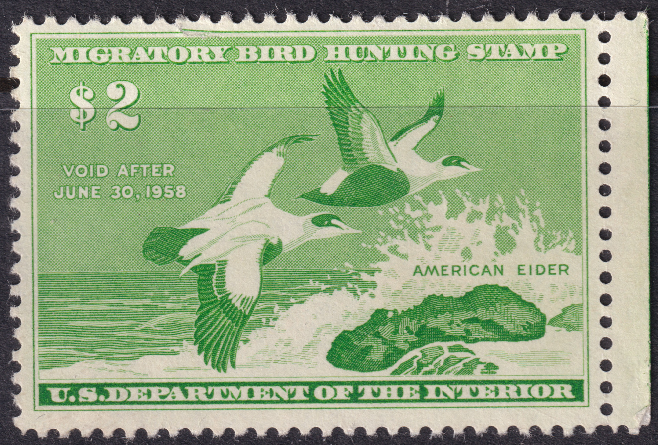 Stamp Picture