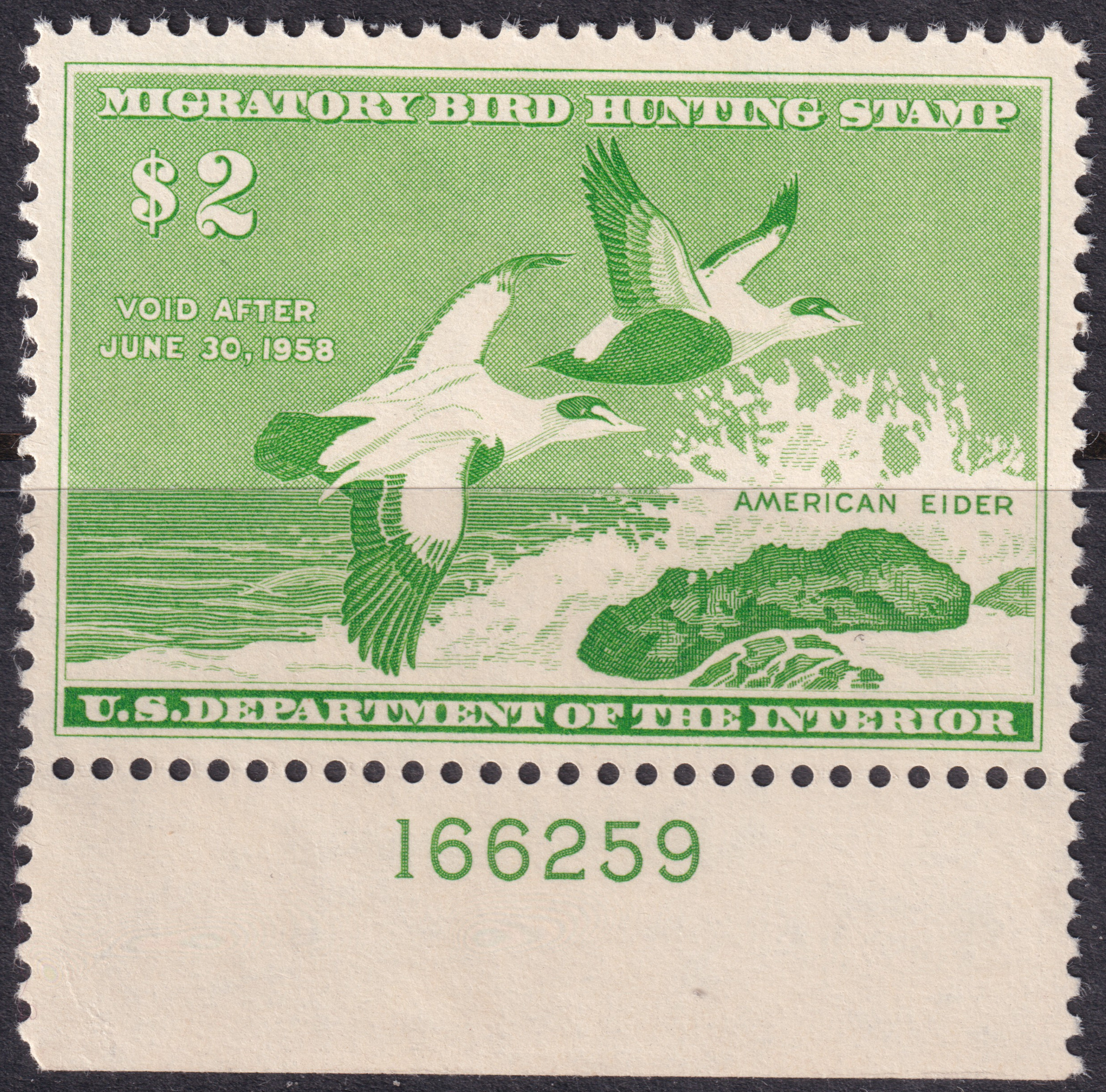 Stamp Picture