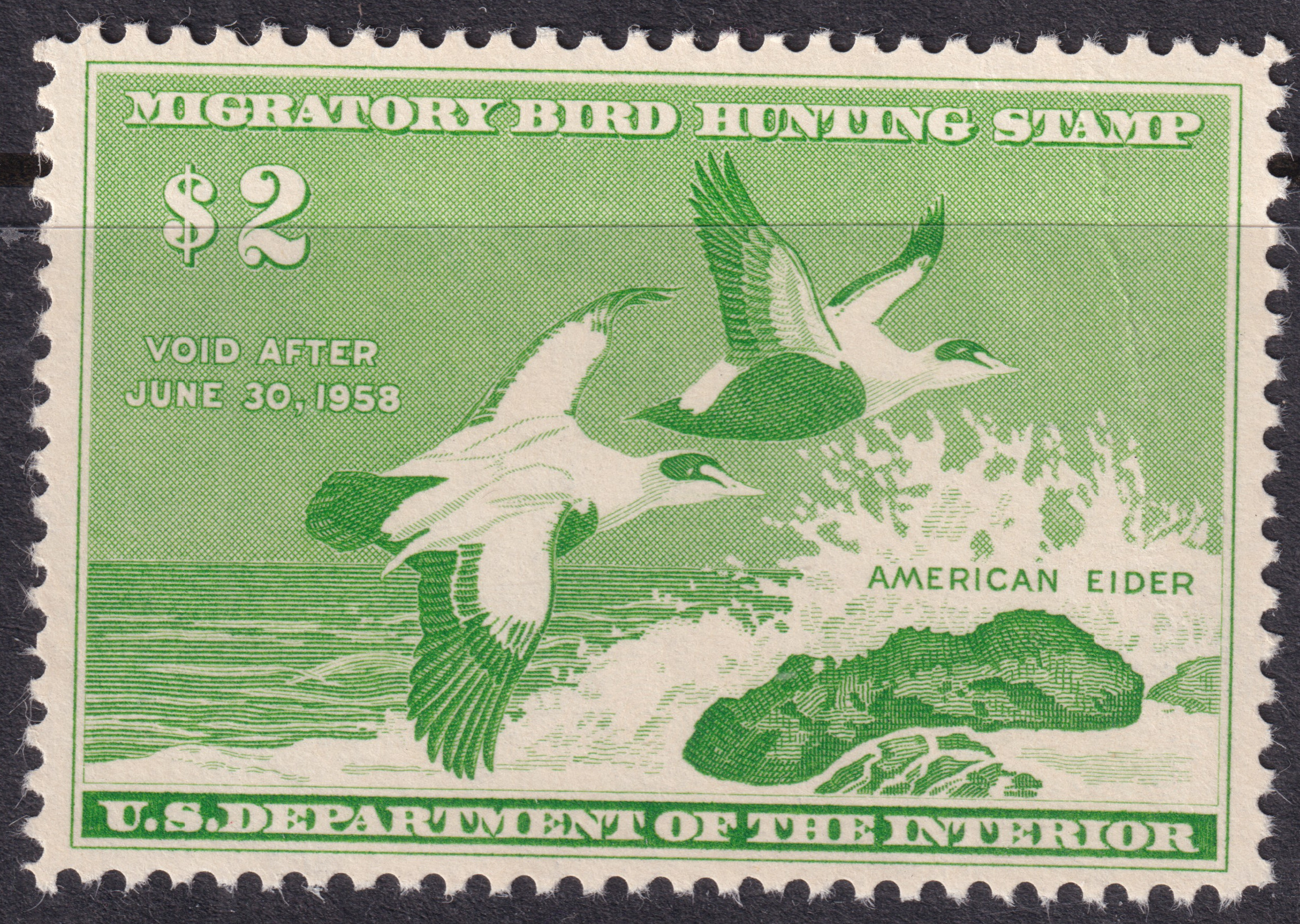 Stamp Picture