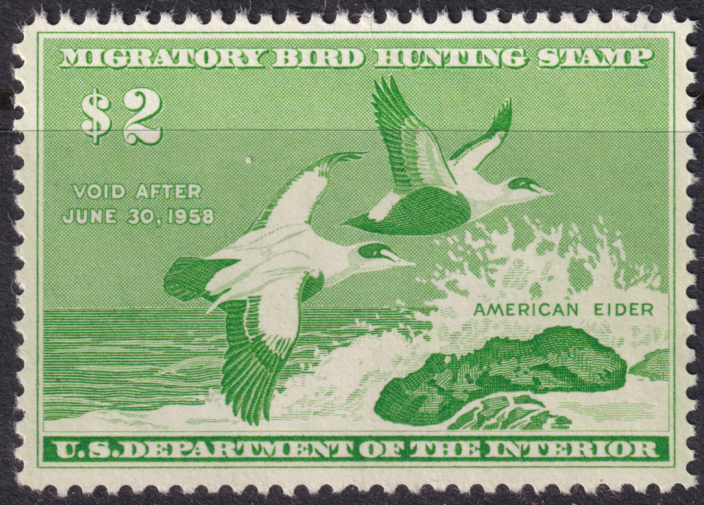 Stamp Picture