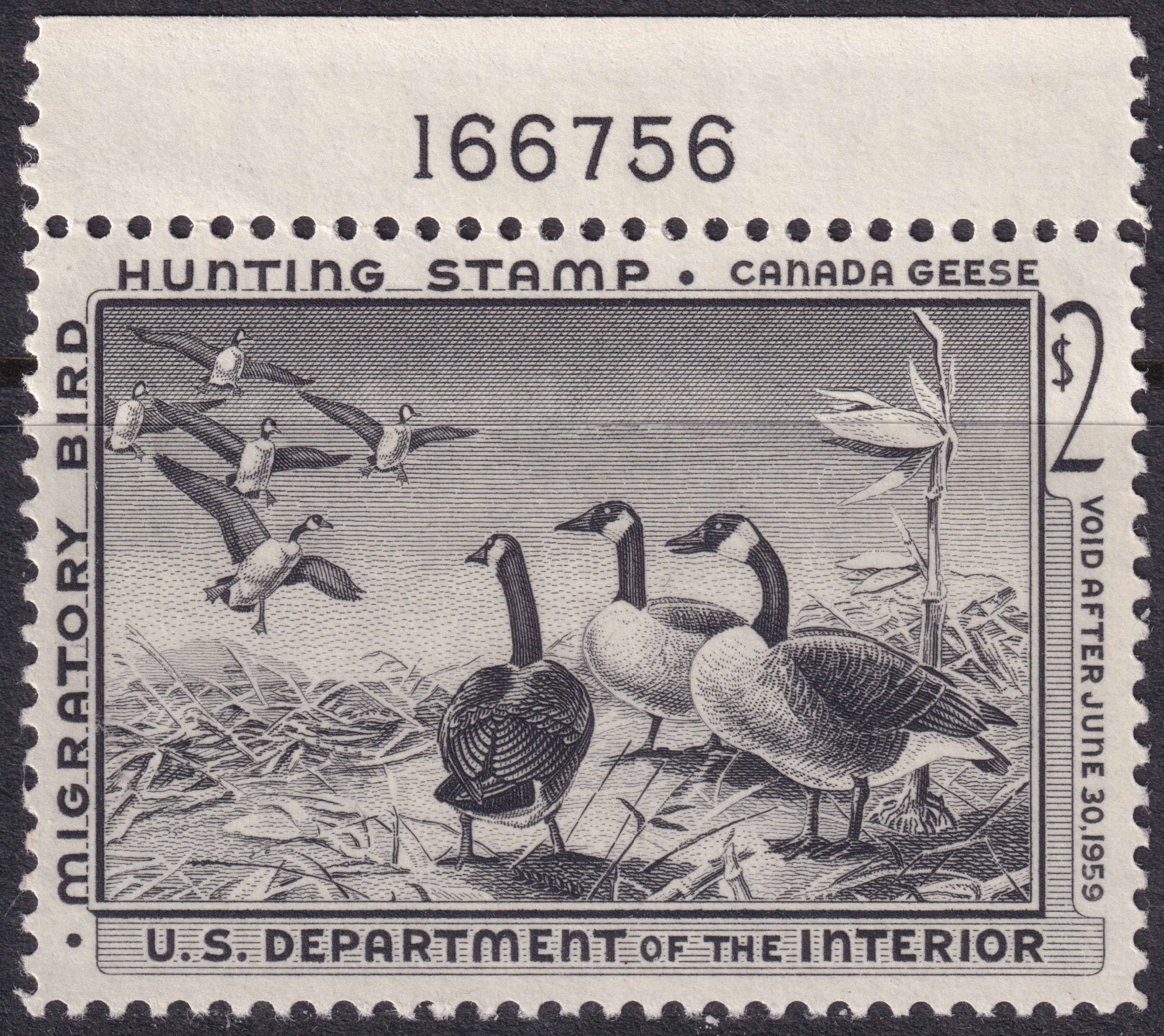 Stamp Picture