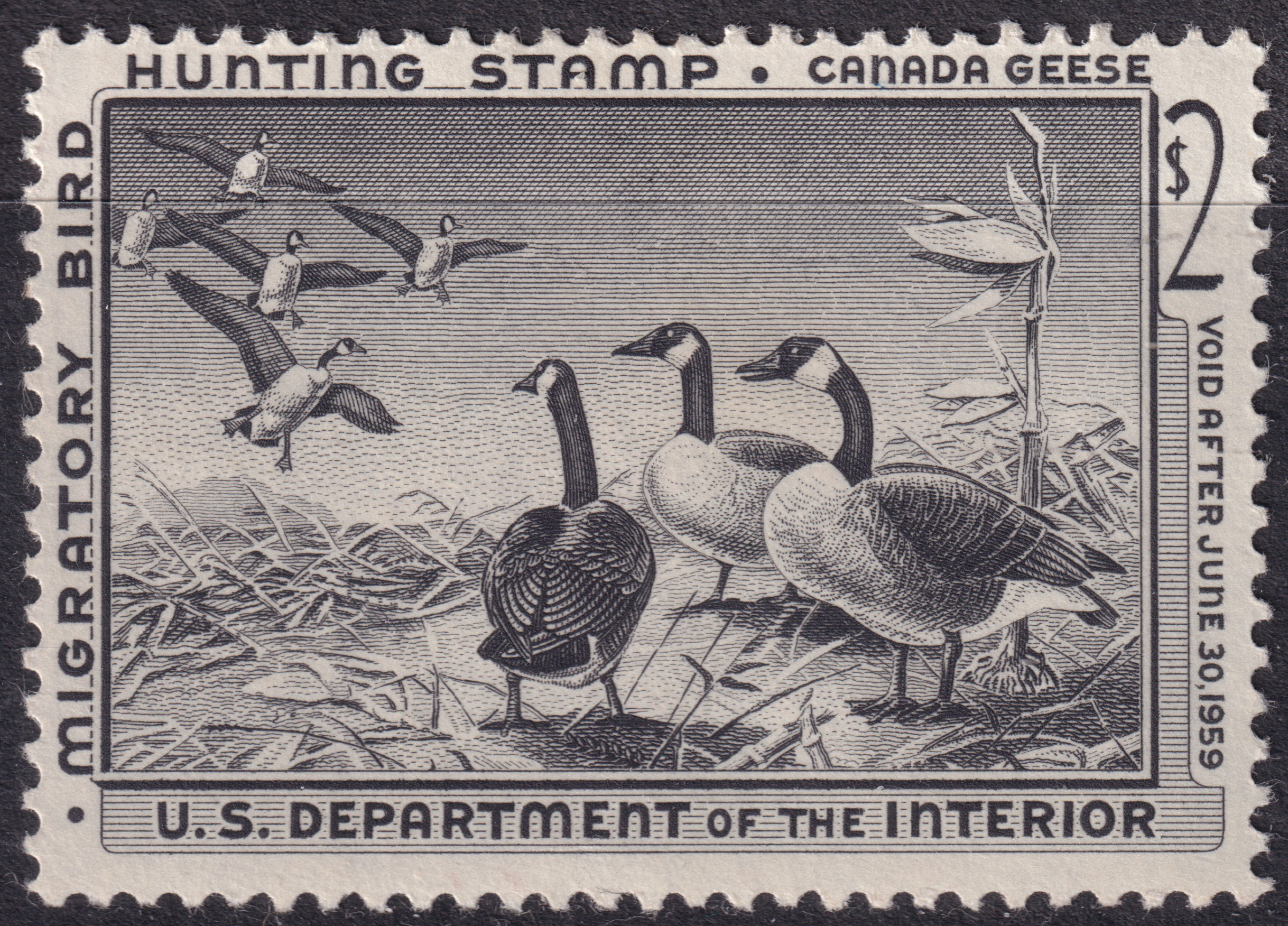 Stamp Picture