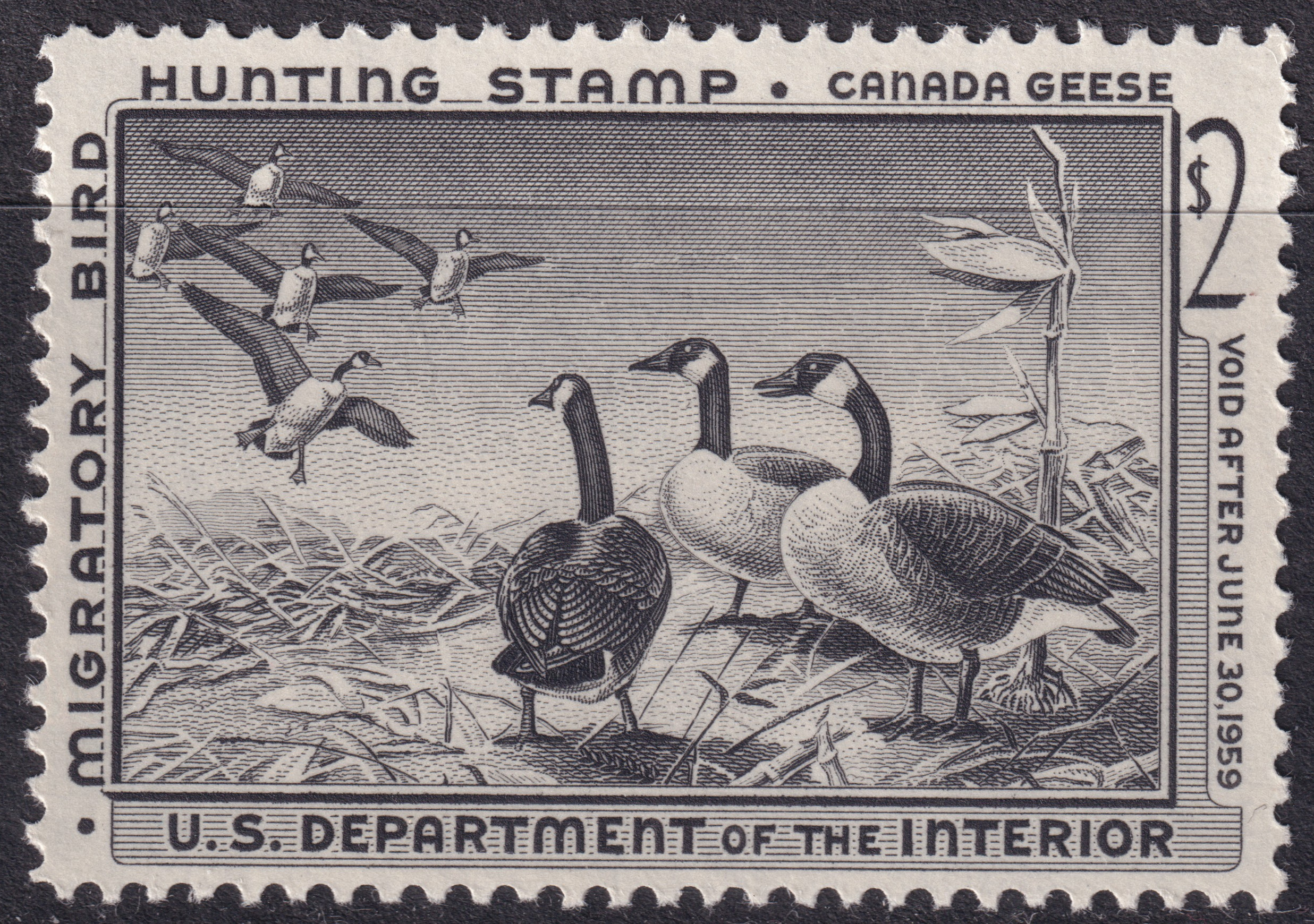 Stamp Picture