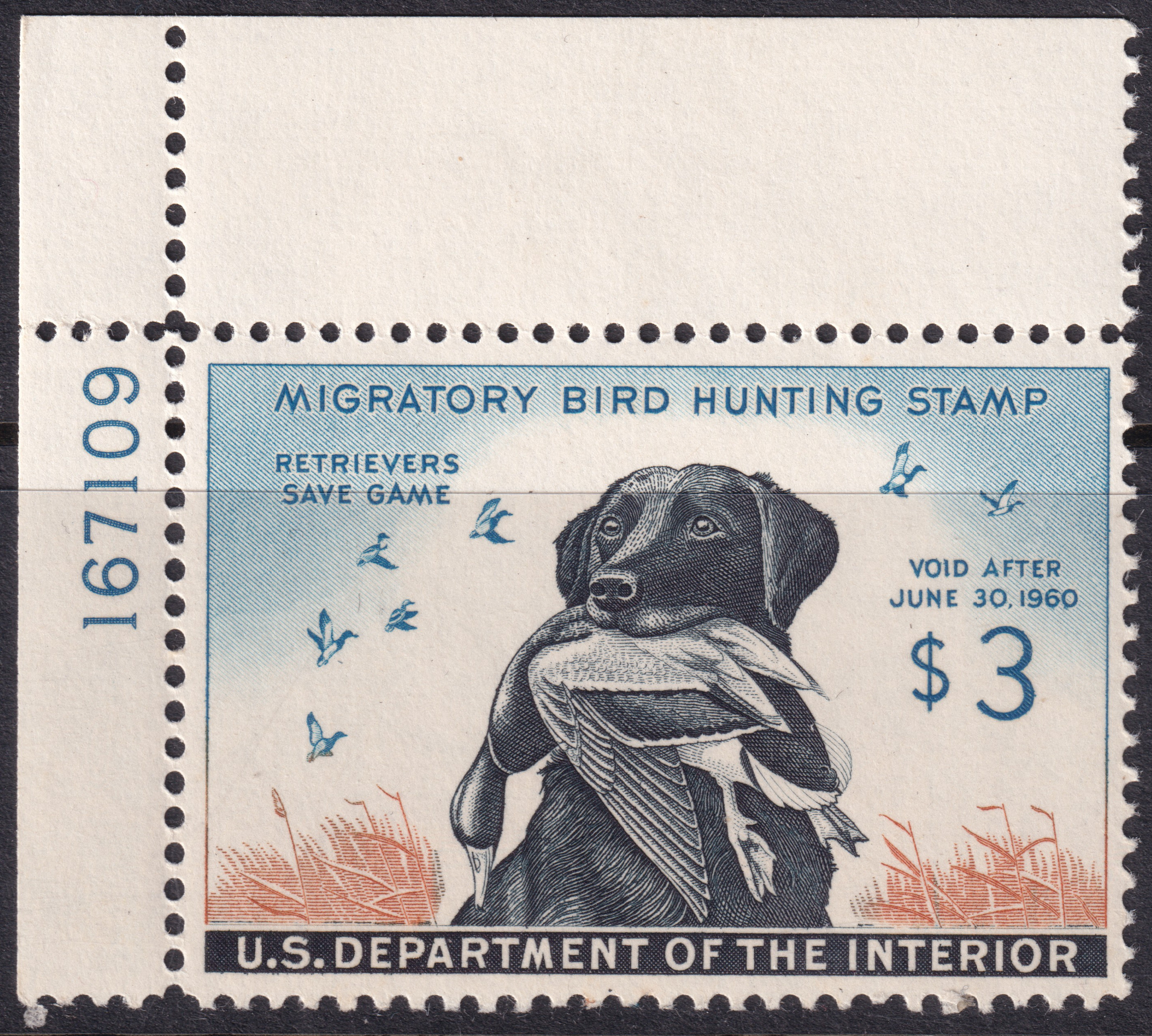 Stamp Picture