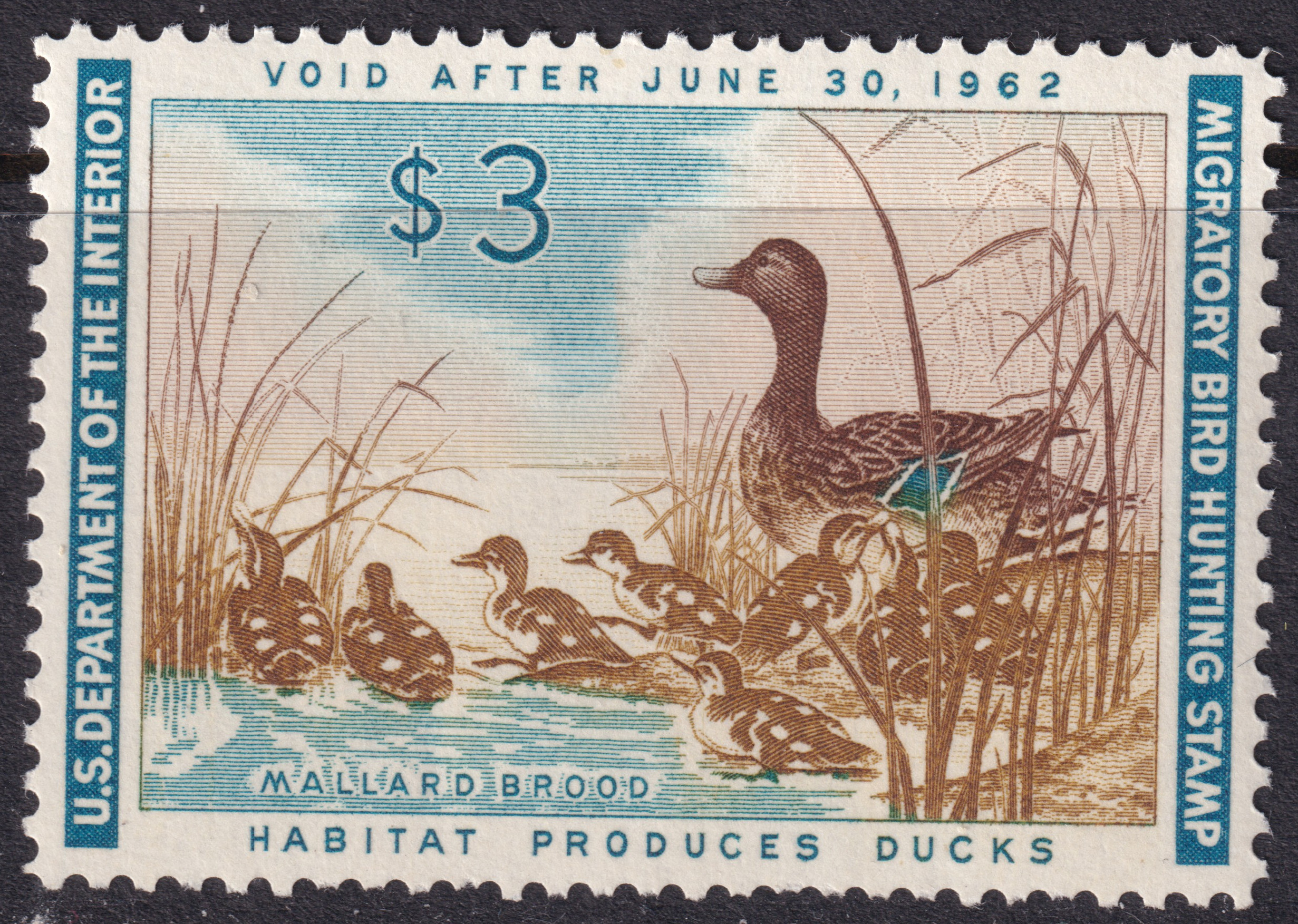 Stamp Picture
