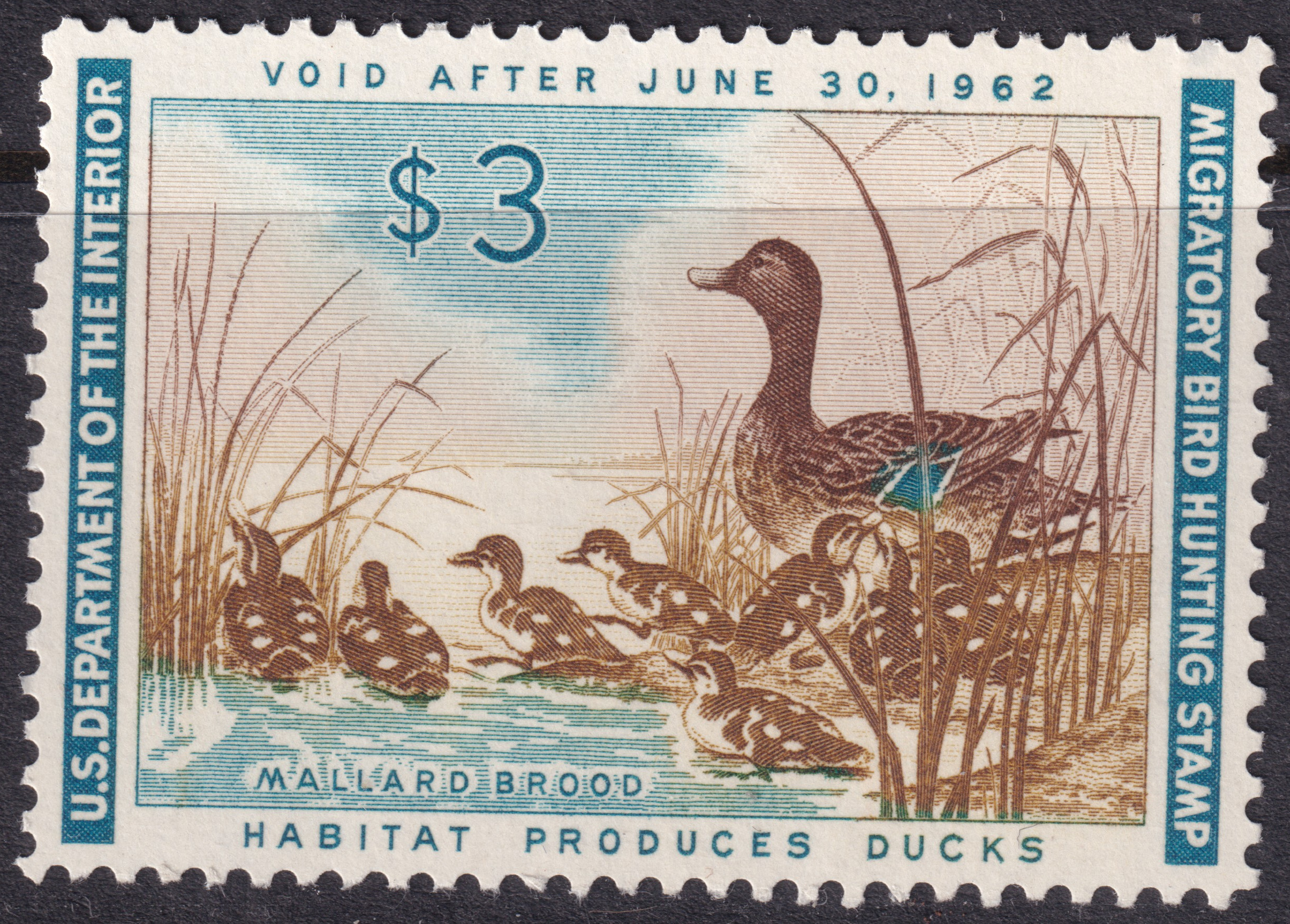 Stamp Picture
