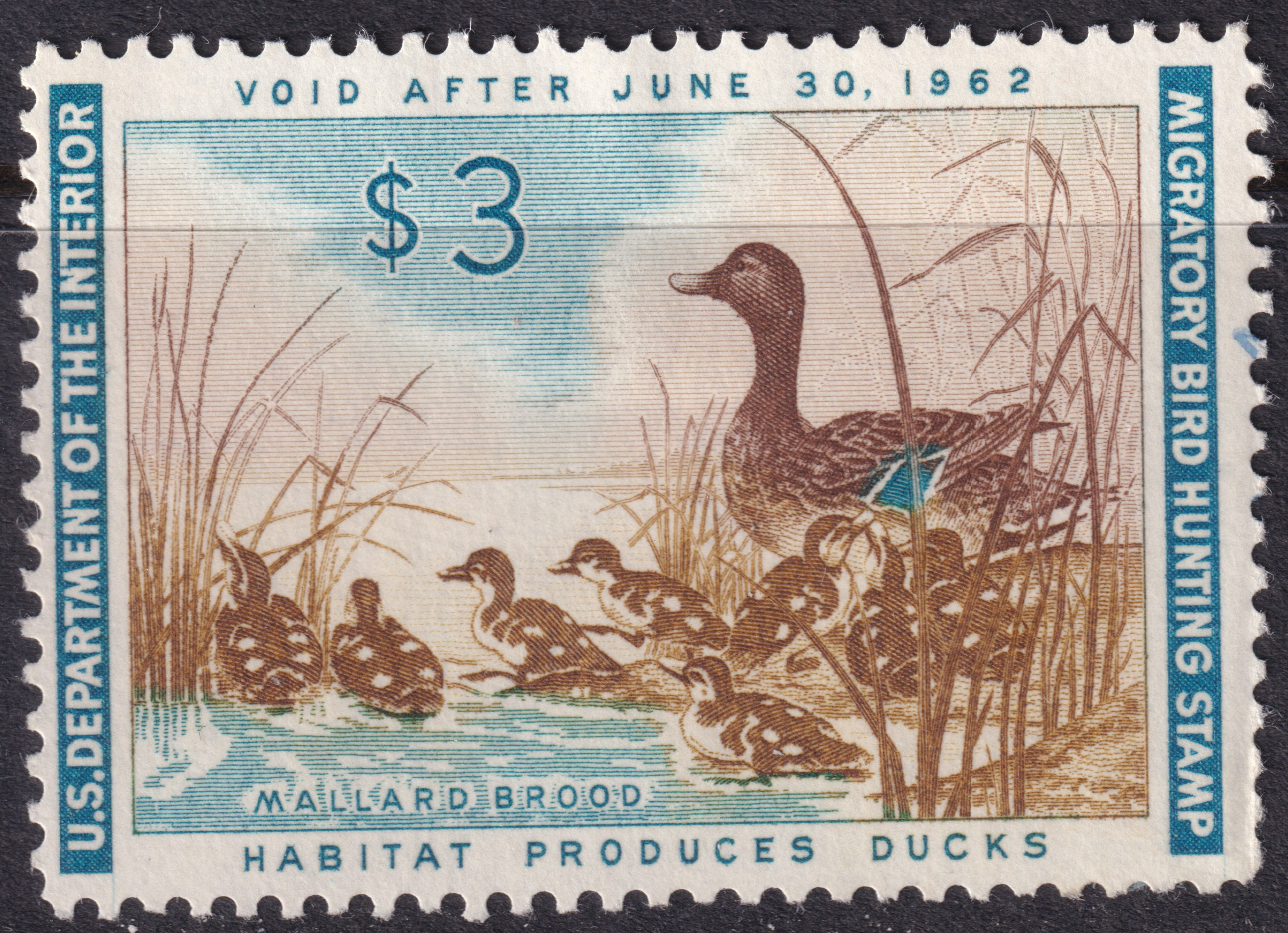 Stamp Picture