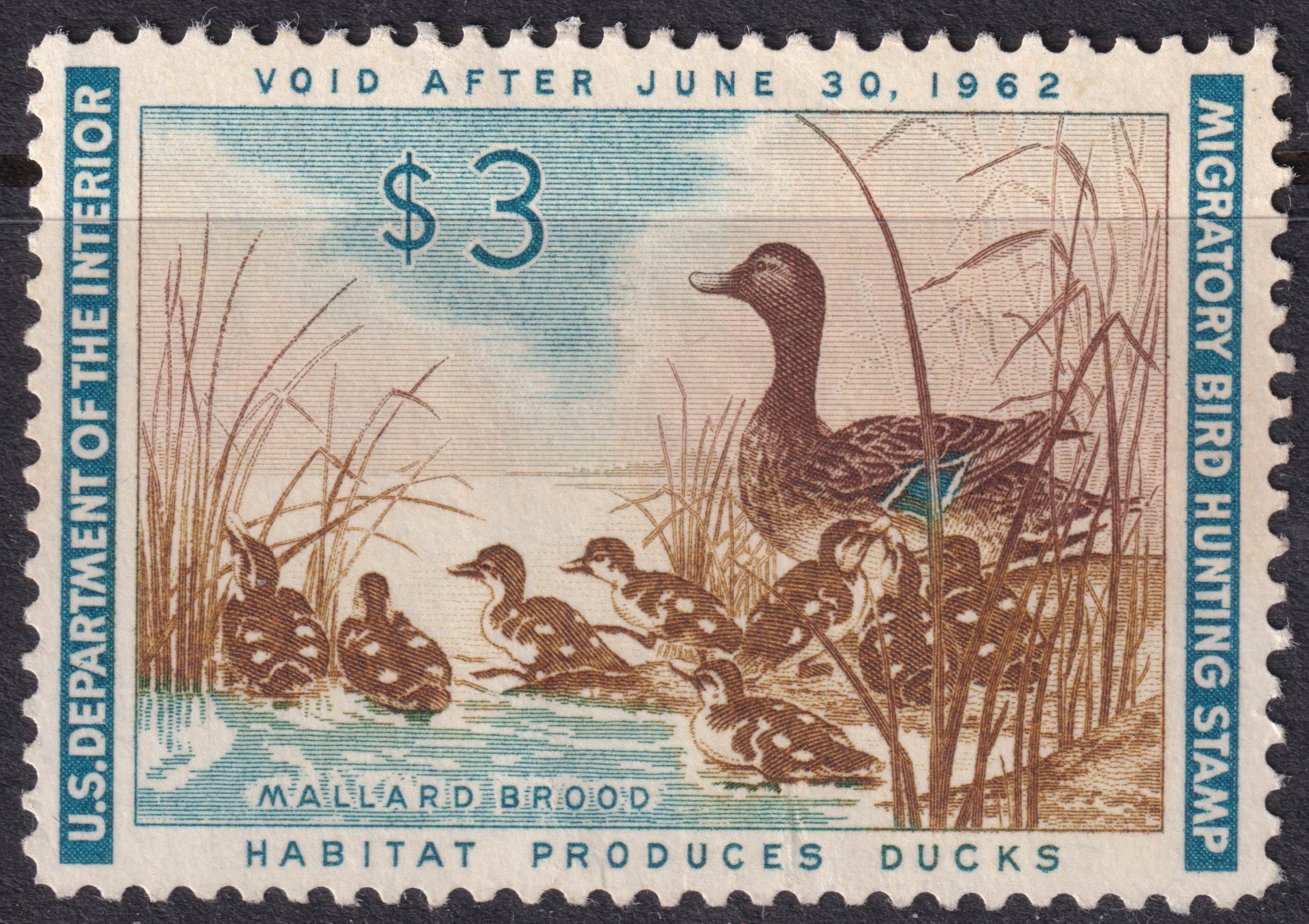 Stamp Picture