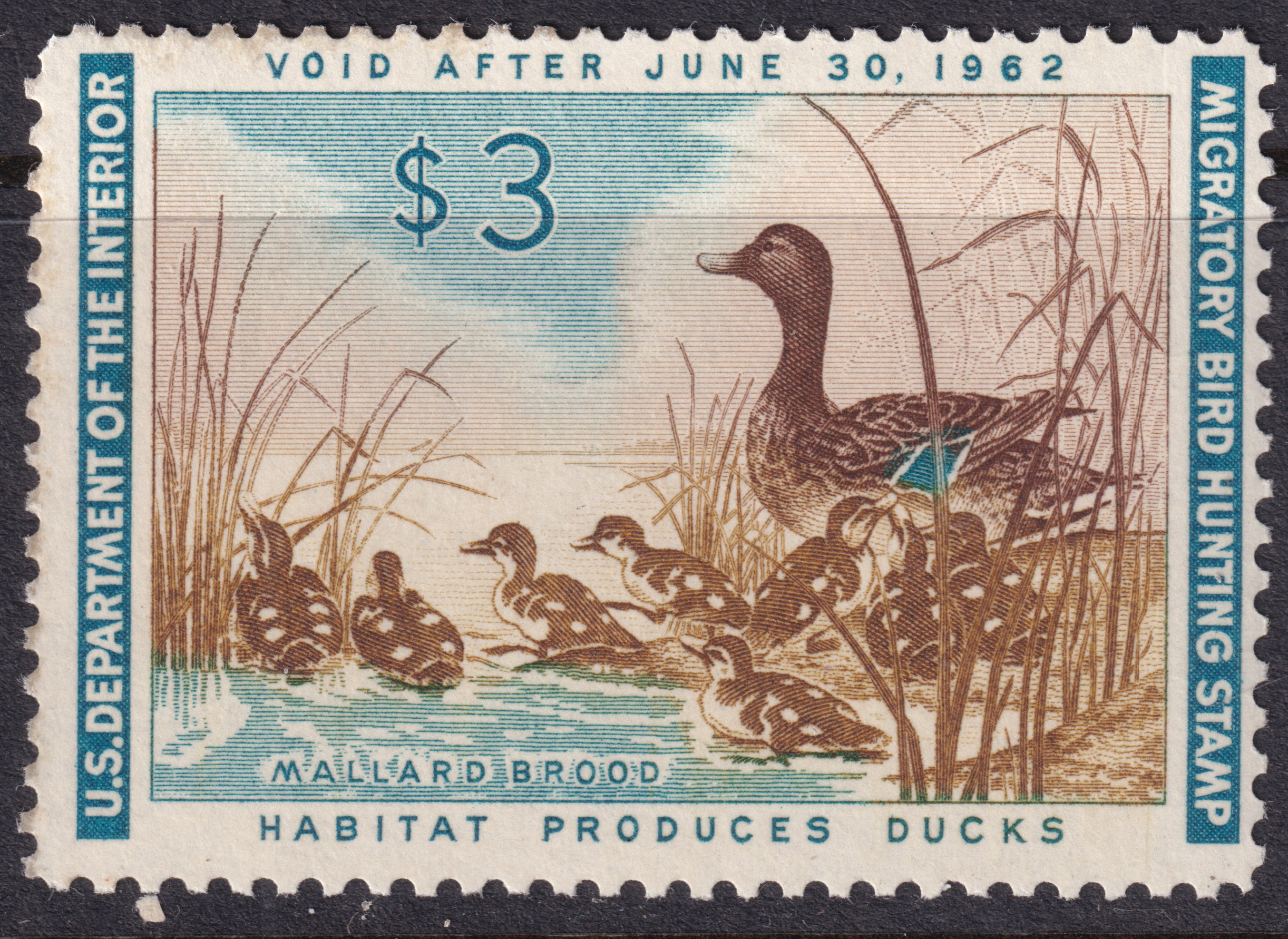 Stamp Picture