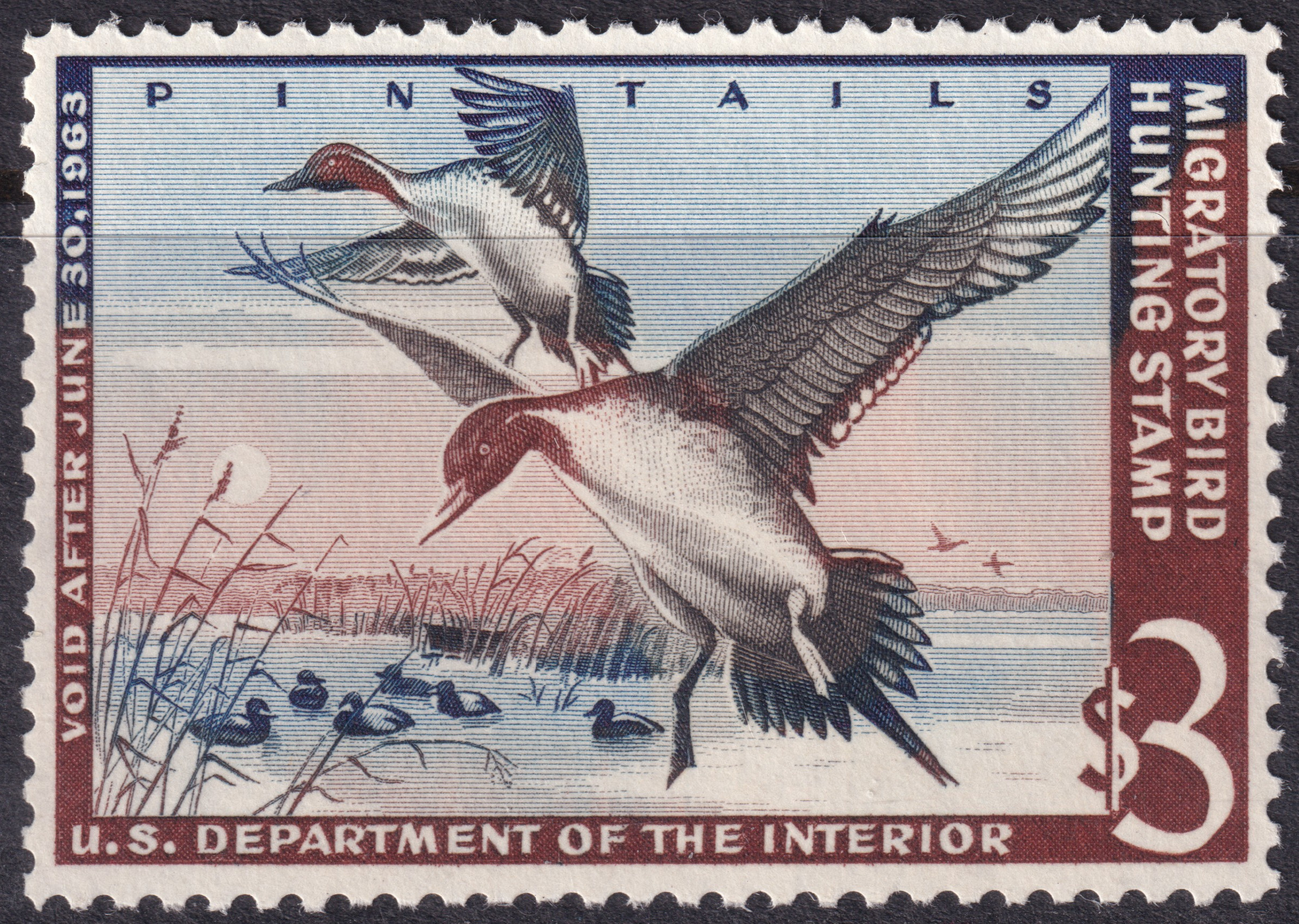 Stamp Picture