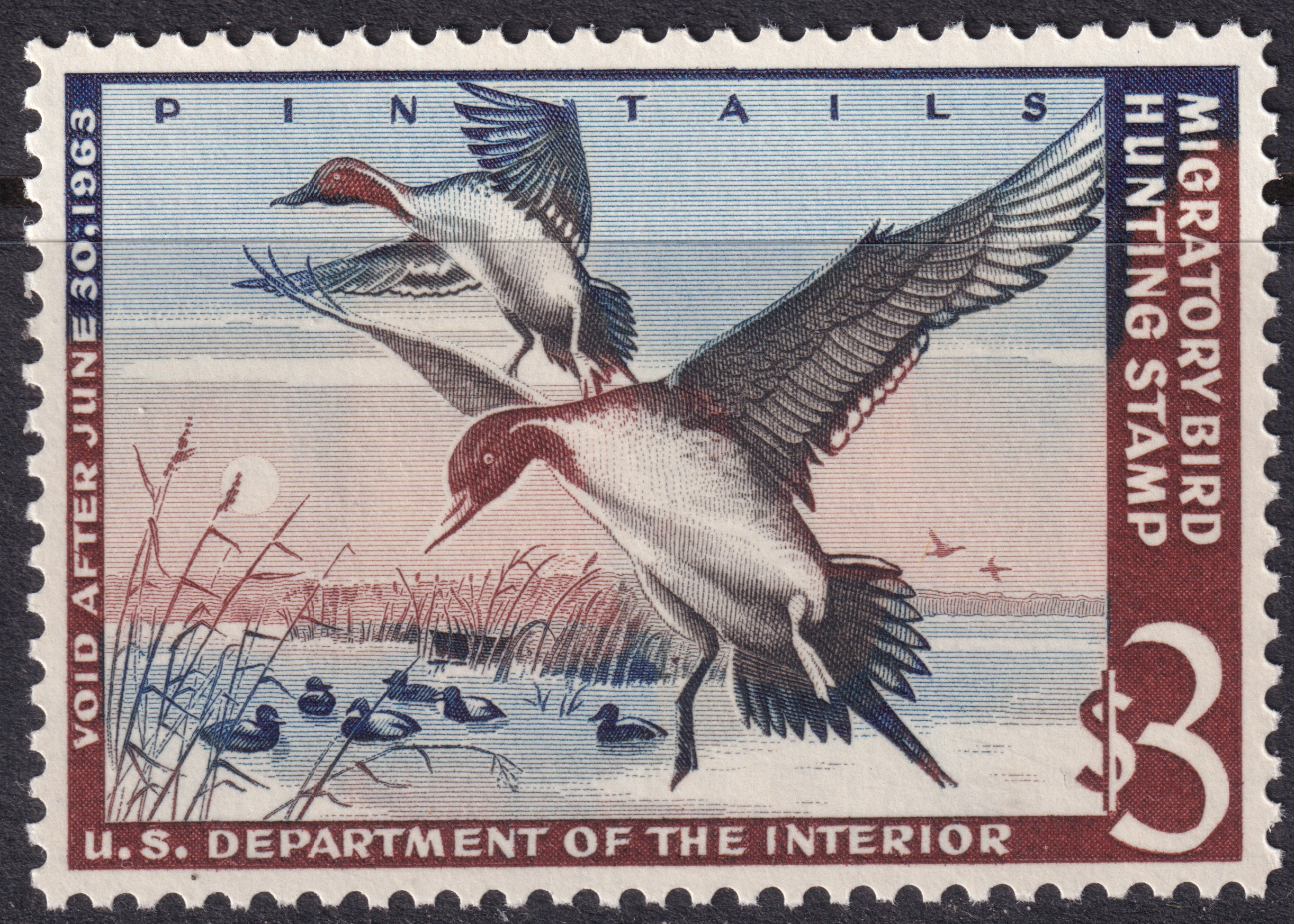 Stamp Picture