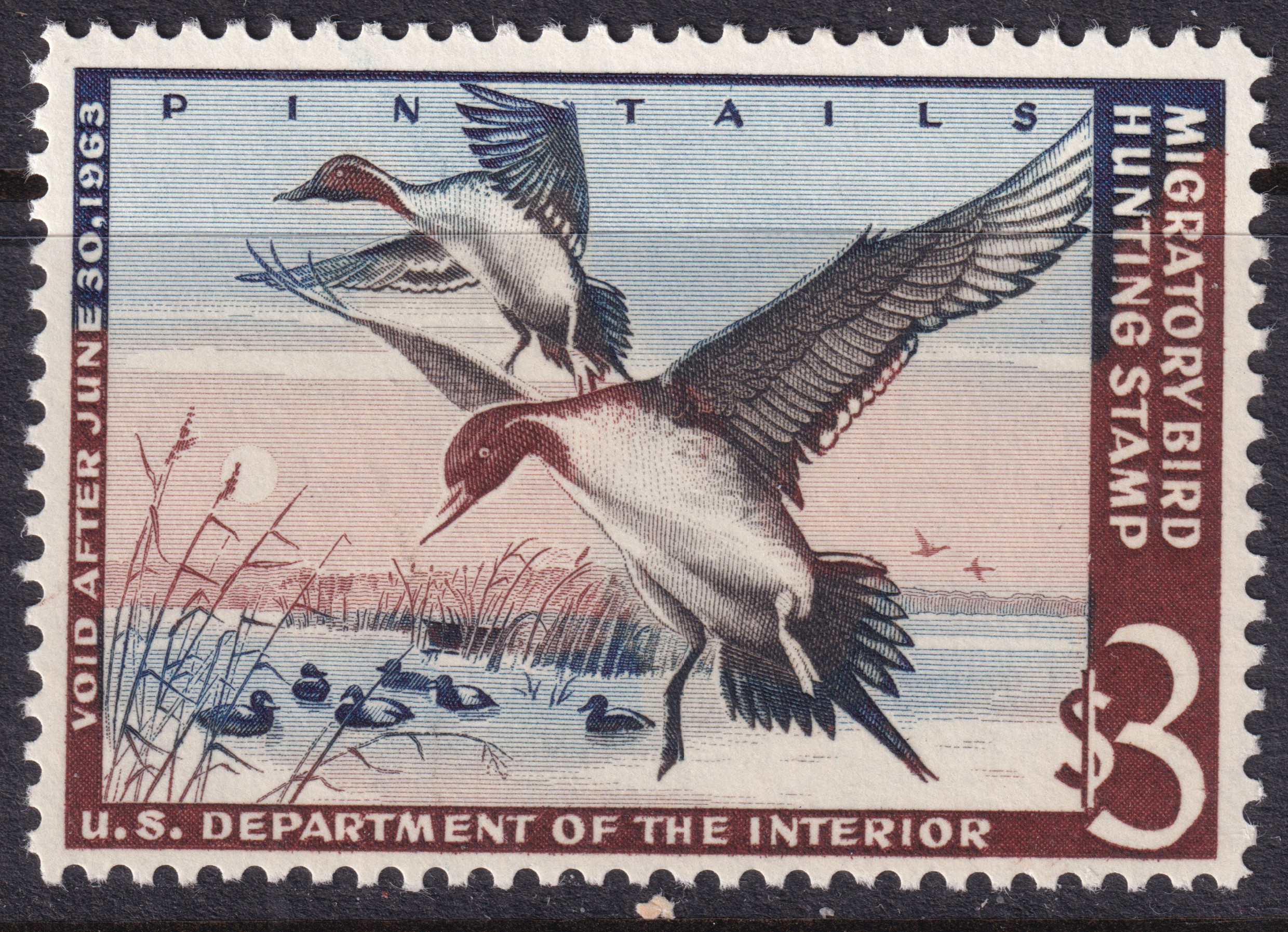 Stamp Picture