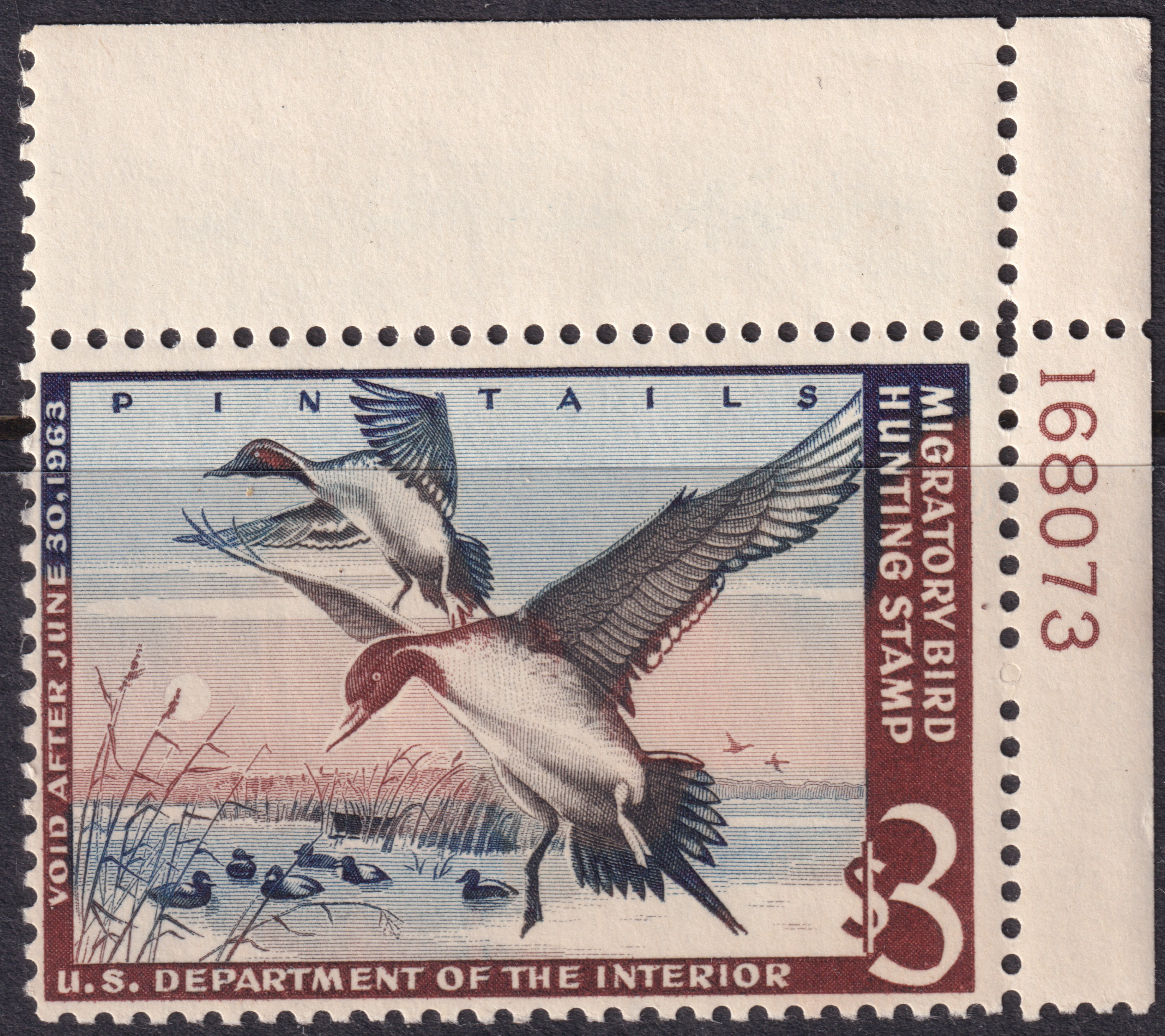 Stamp Picture