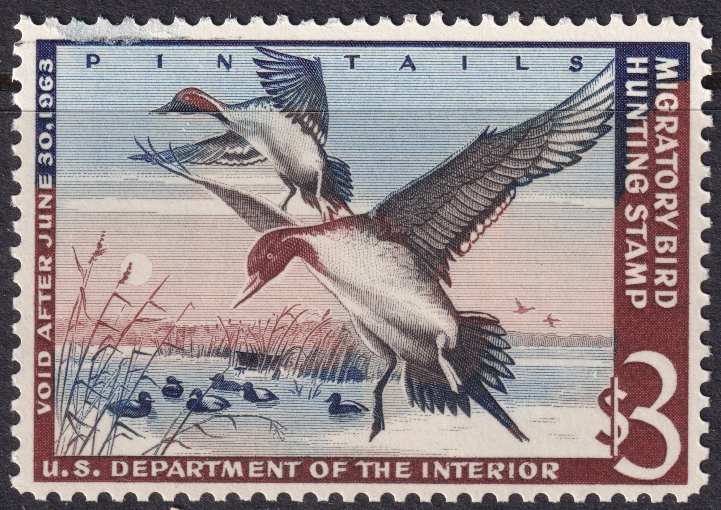 Stamp Picture