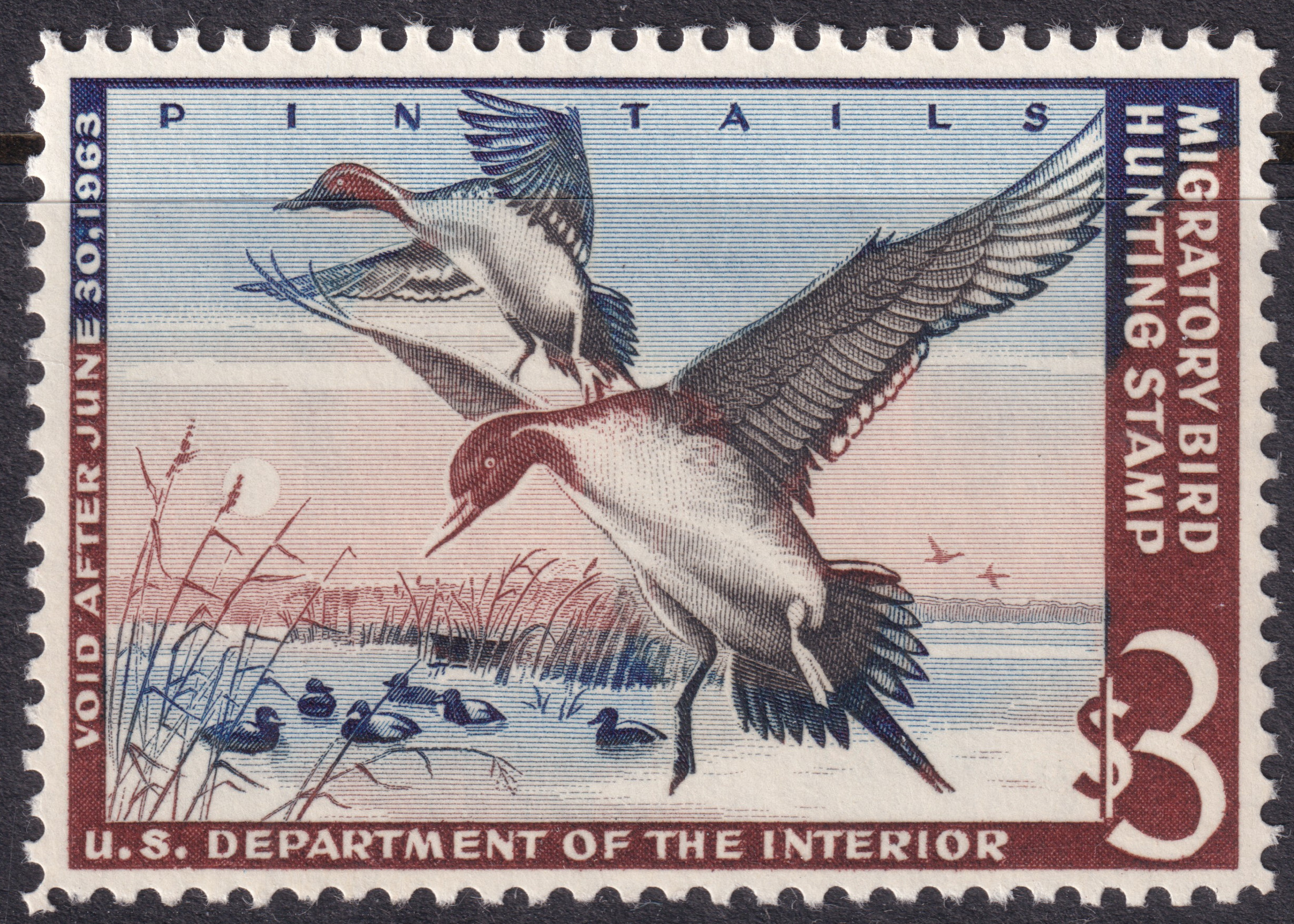 Stamp Picture