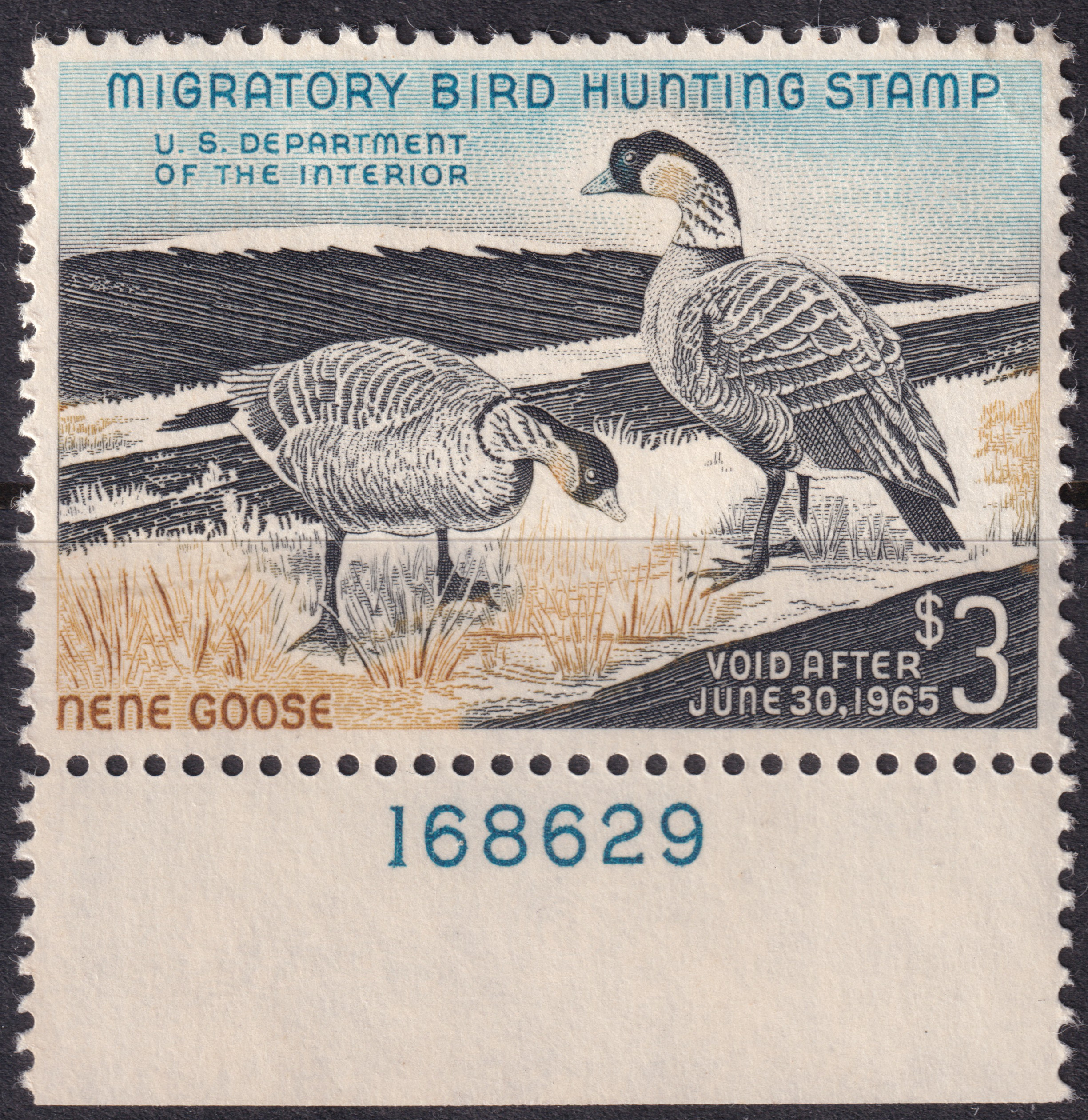 Stamp Picture