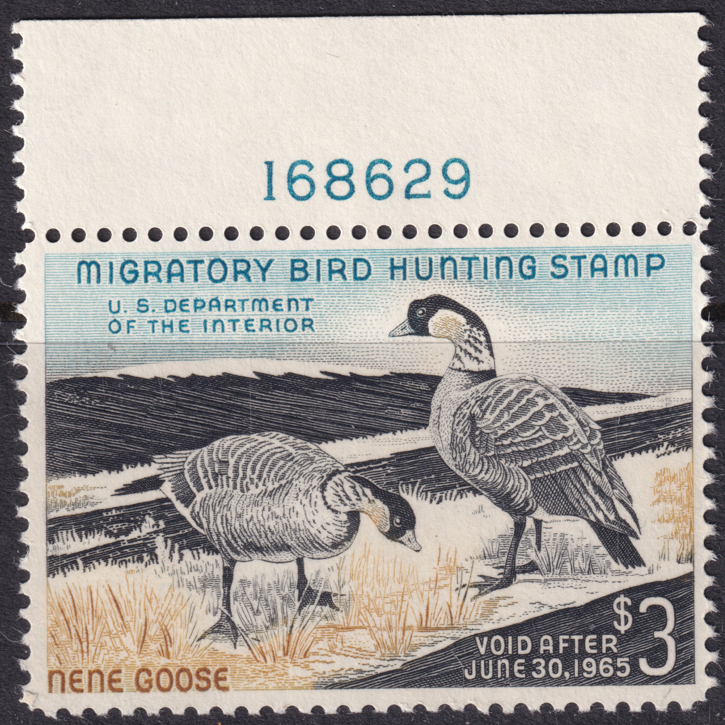 Stamp Picture