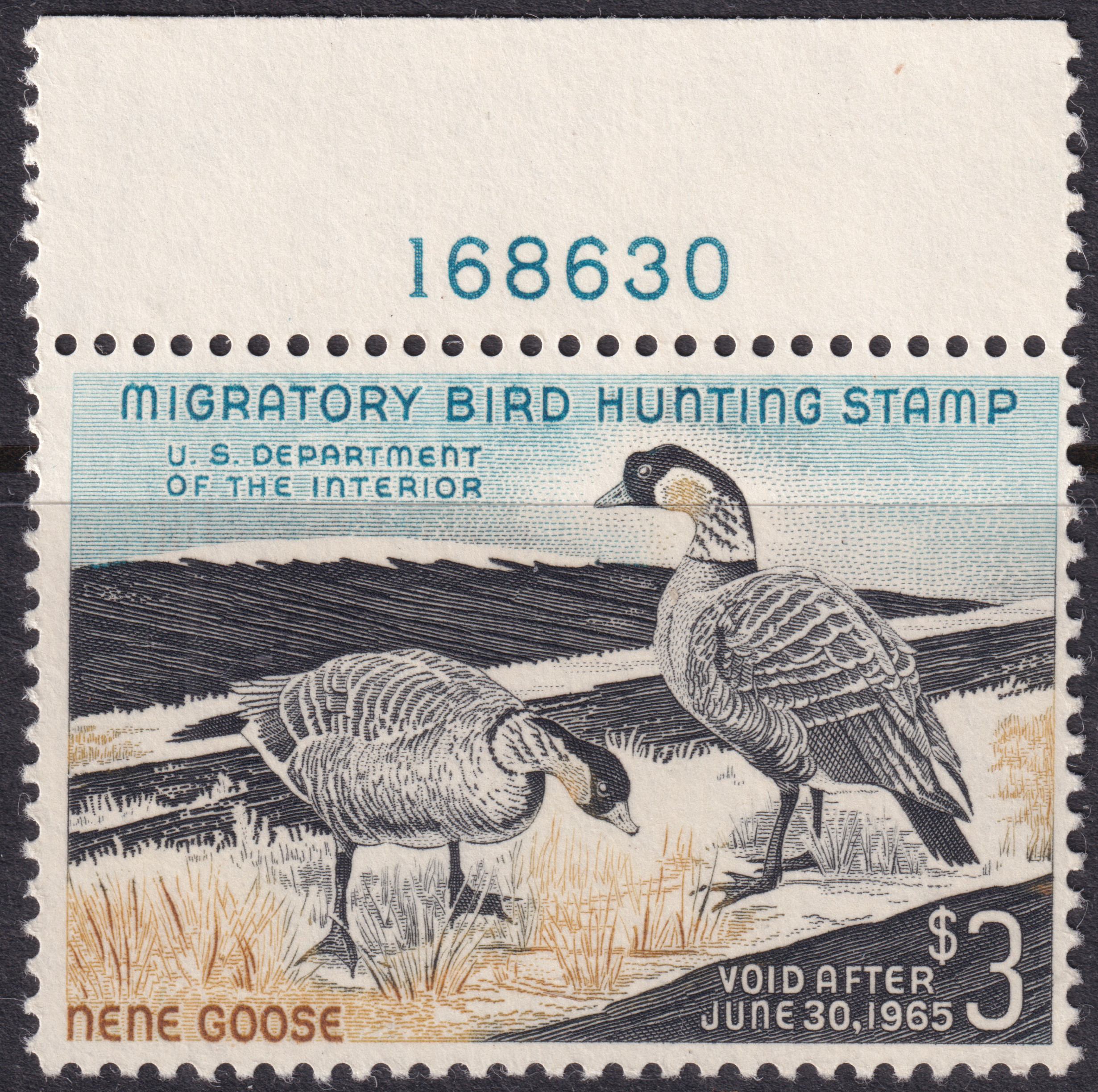 Stamp Picture