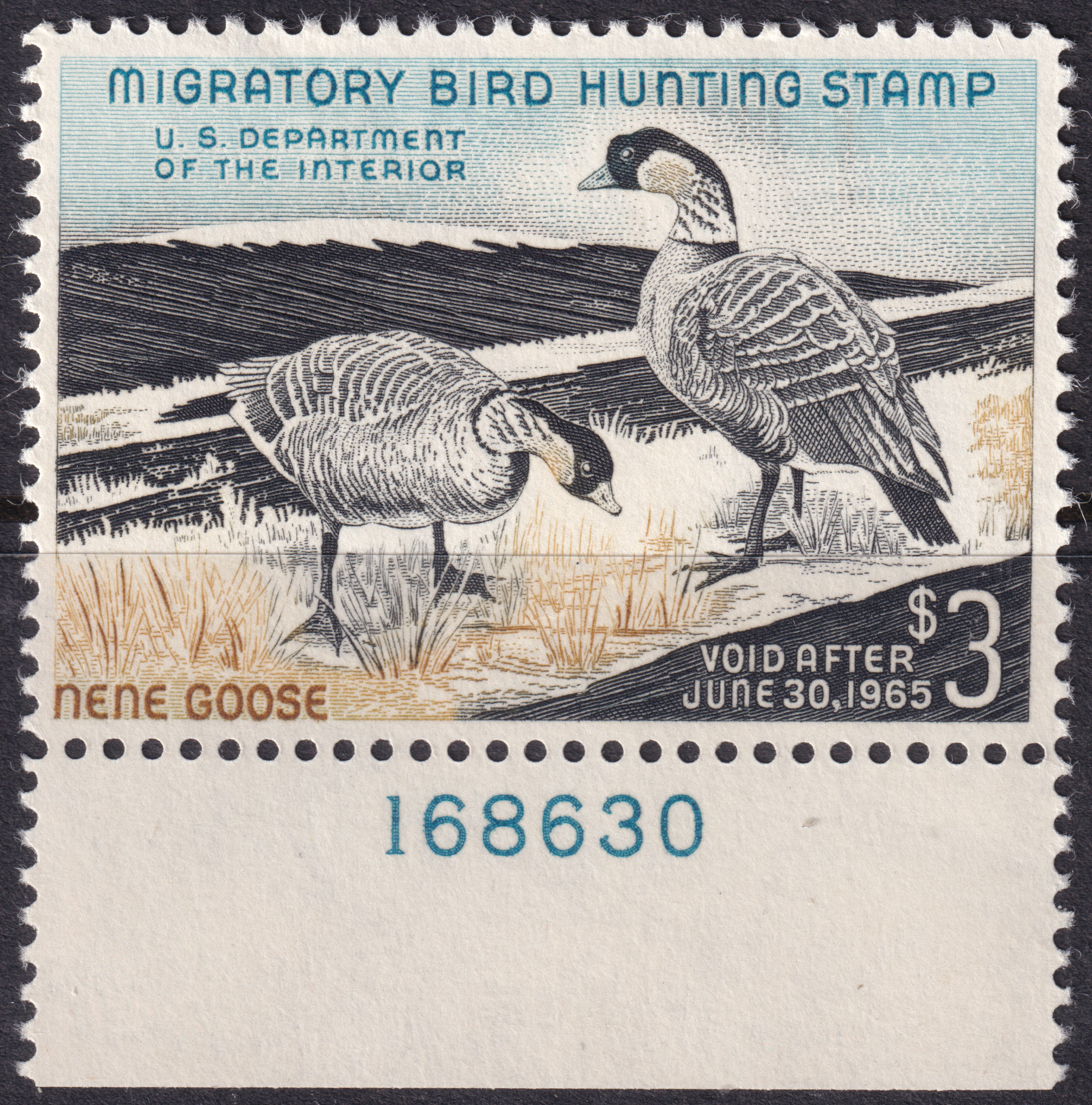 Stamp Picture