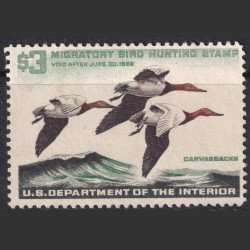 Picture of Lot #55303