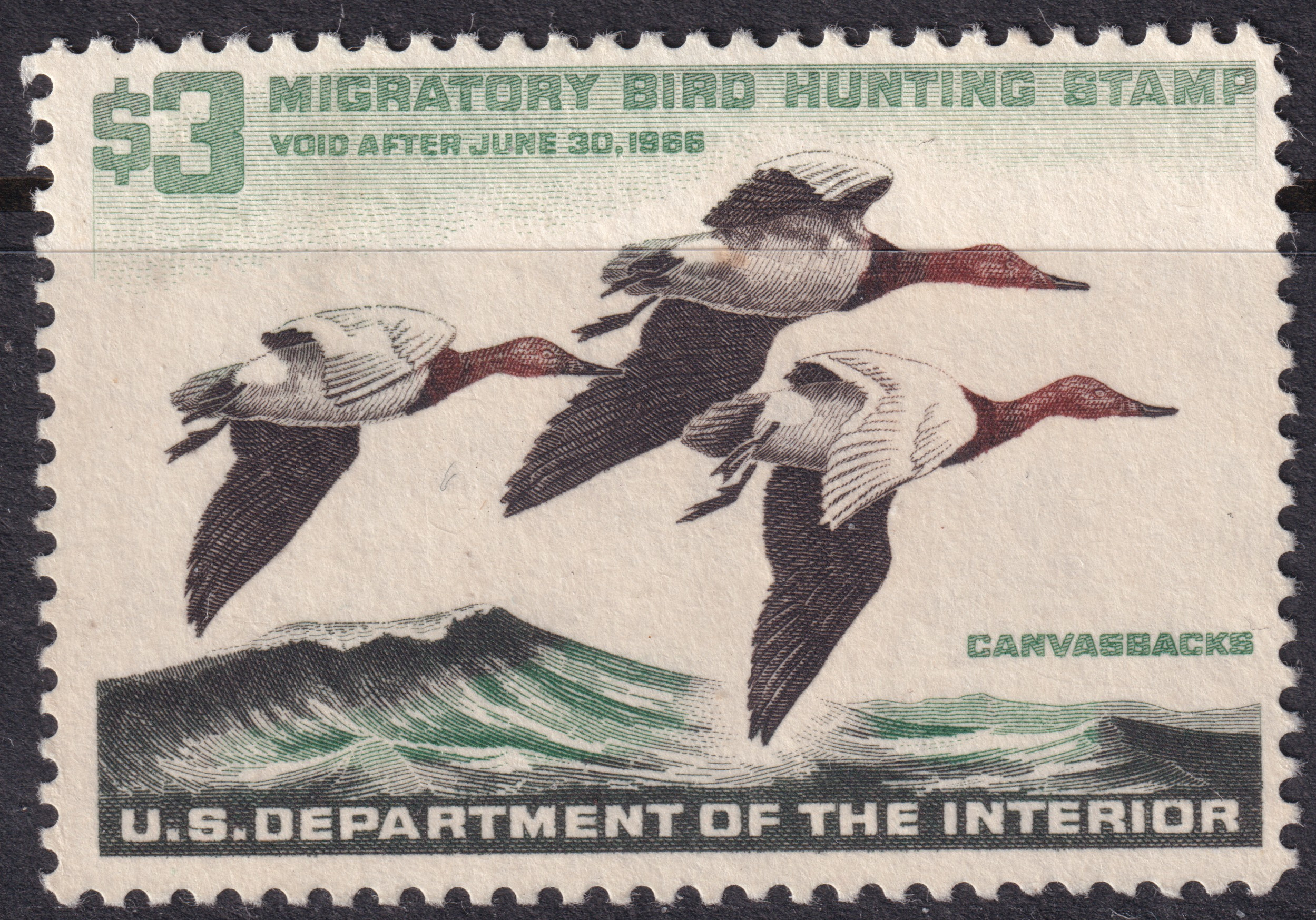 Stamp Picture