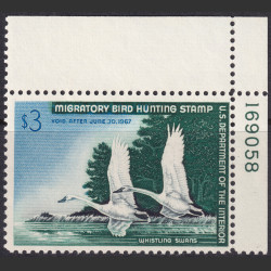Picture of Lot #55304