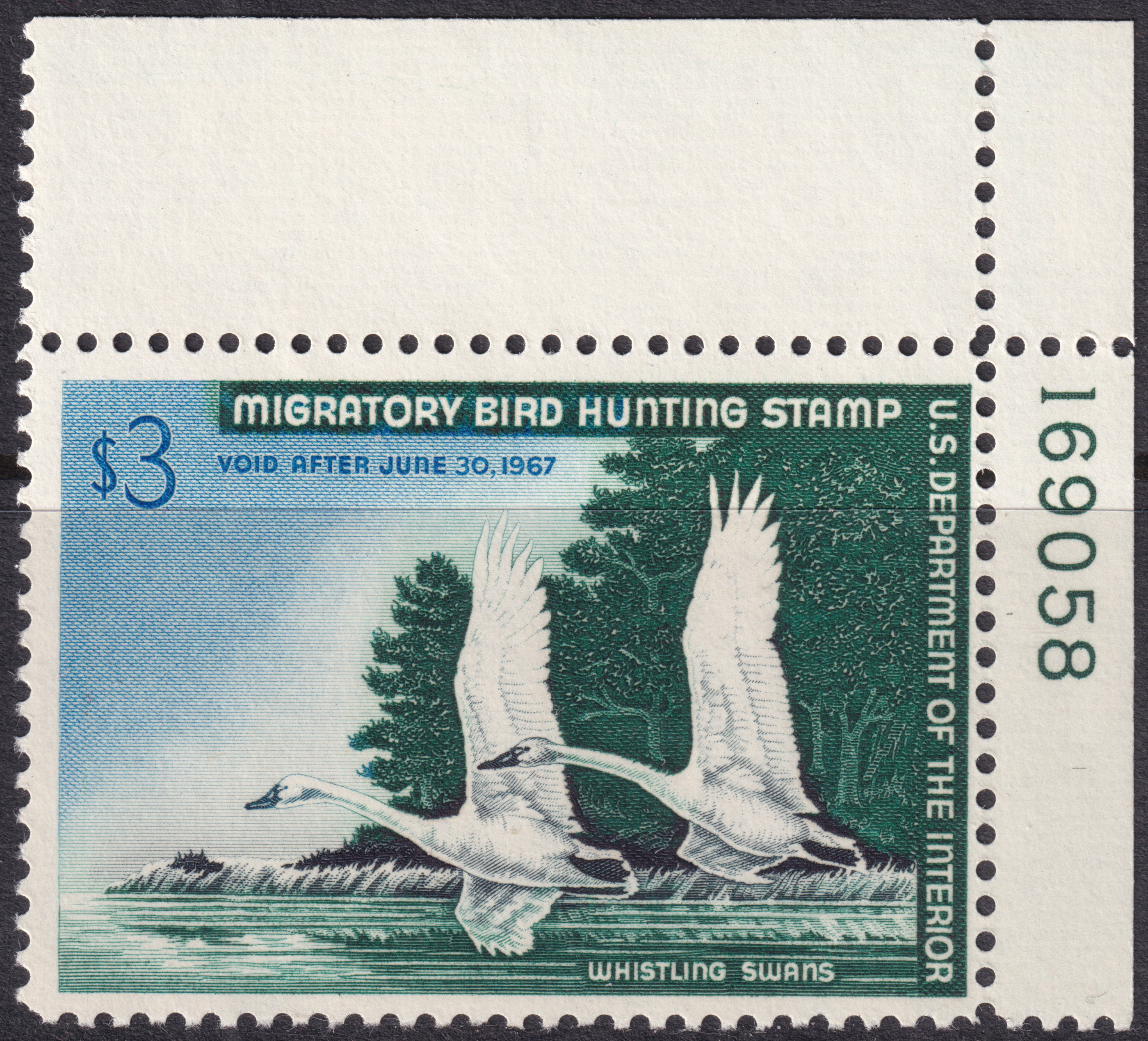 Stamp Picture