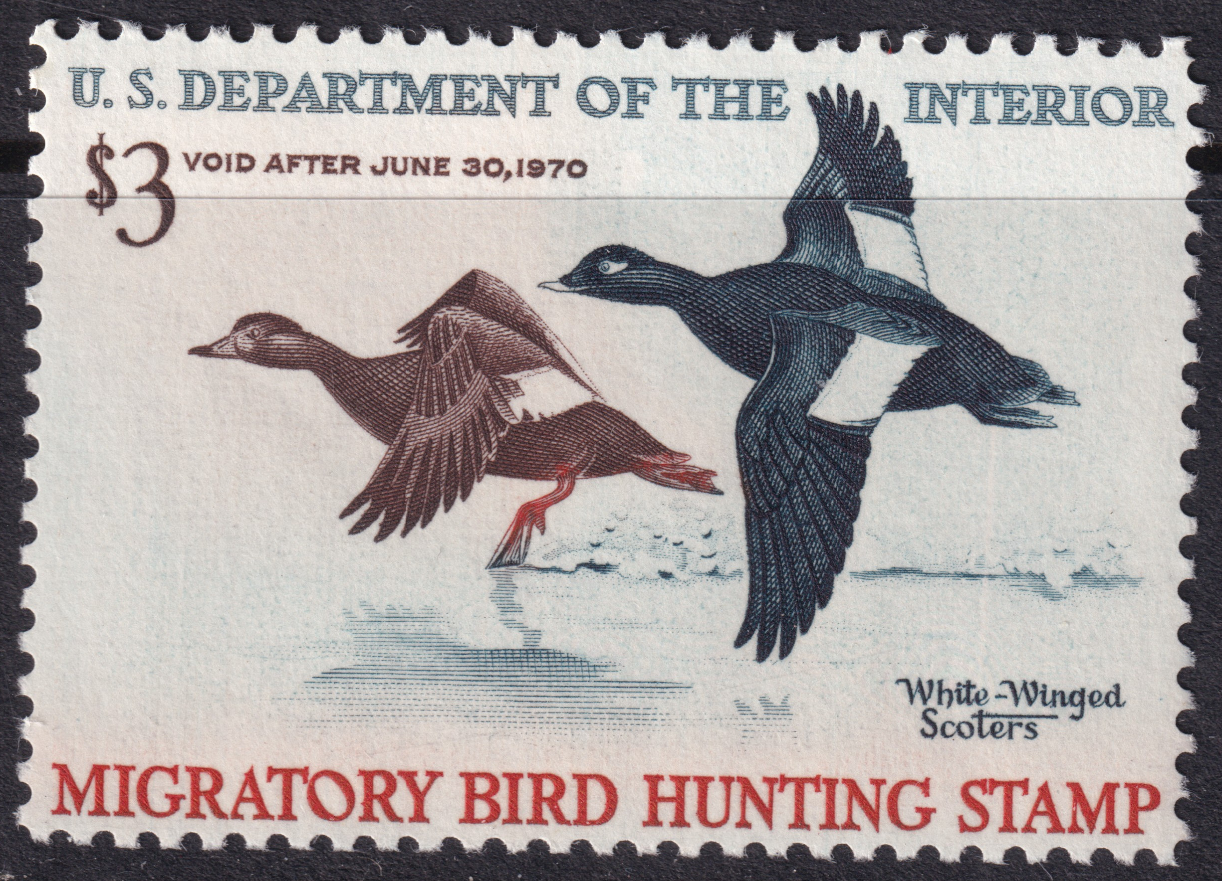 Stamp Picture