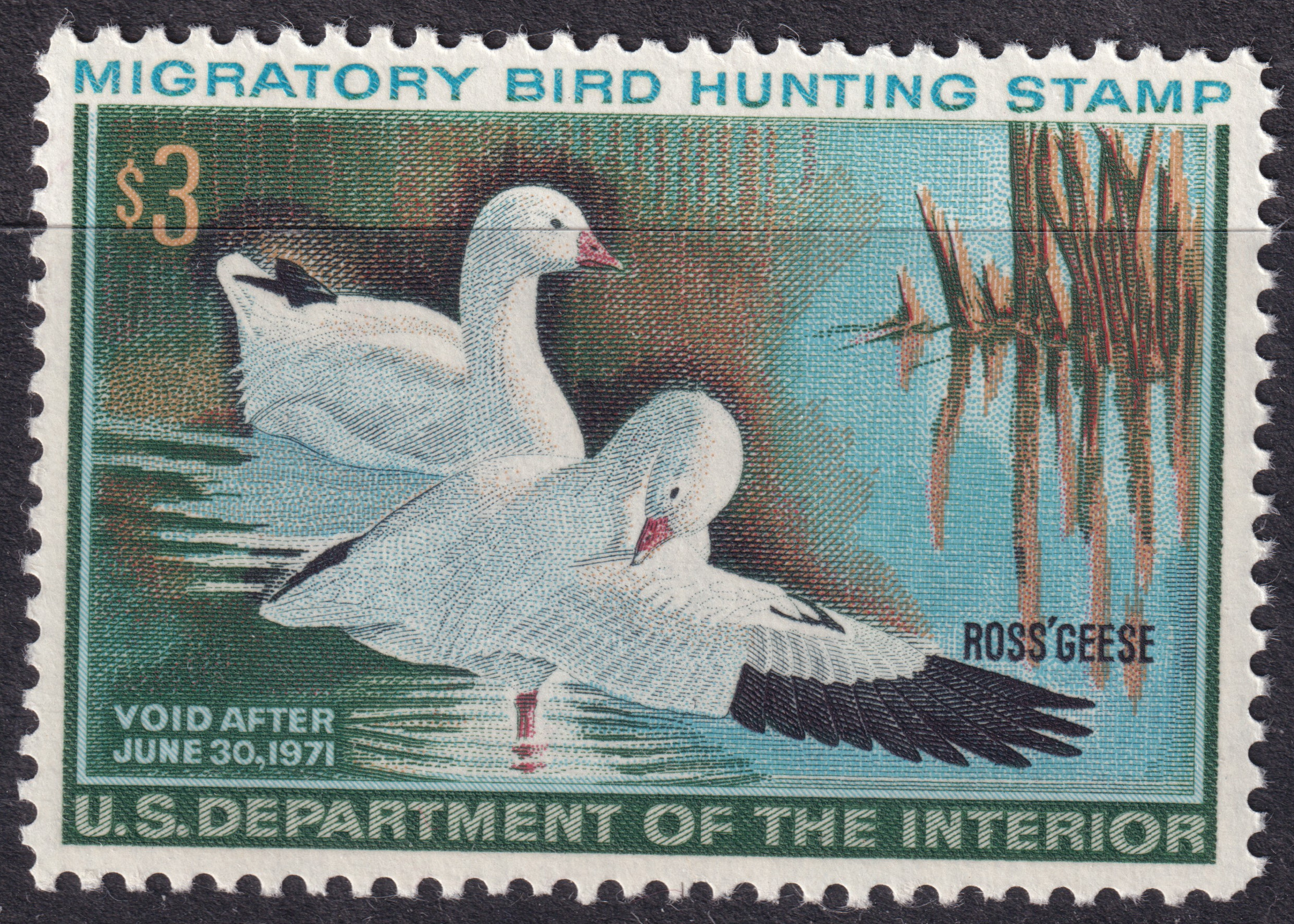 Stamp Picture