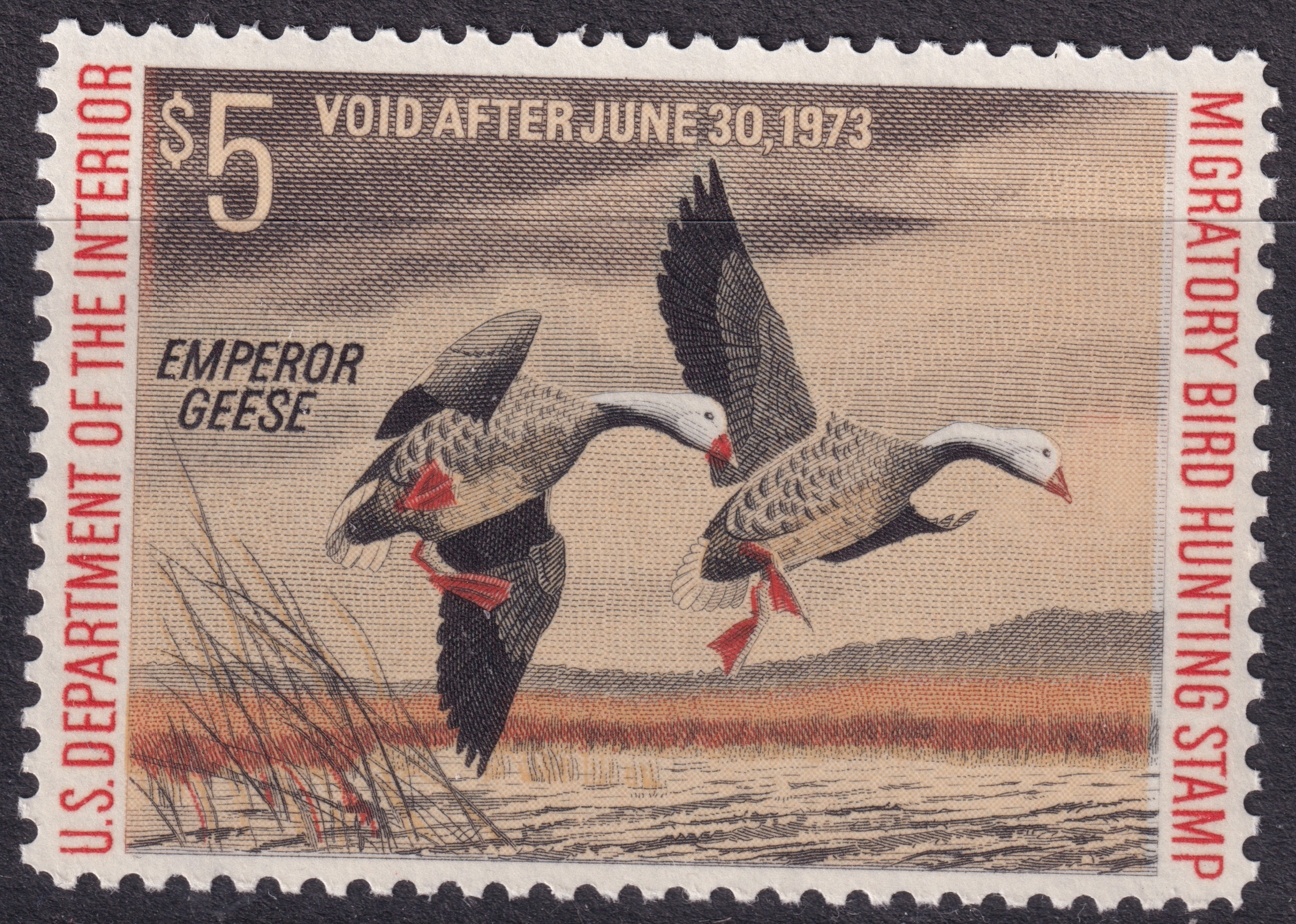 Stamp Picture