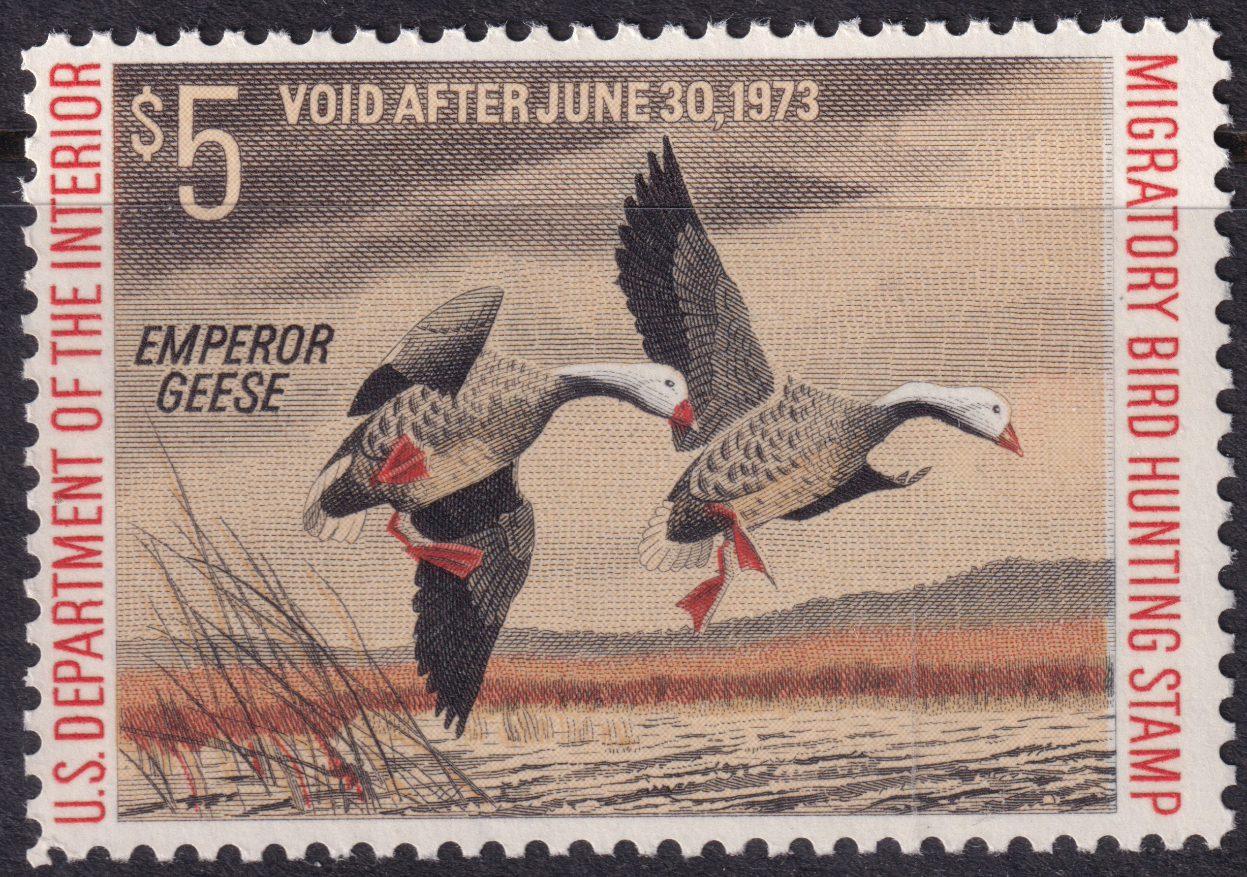 Stamp Picture