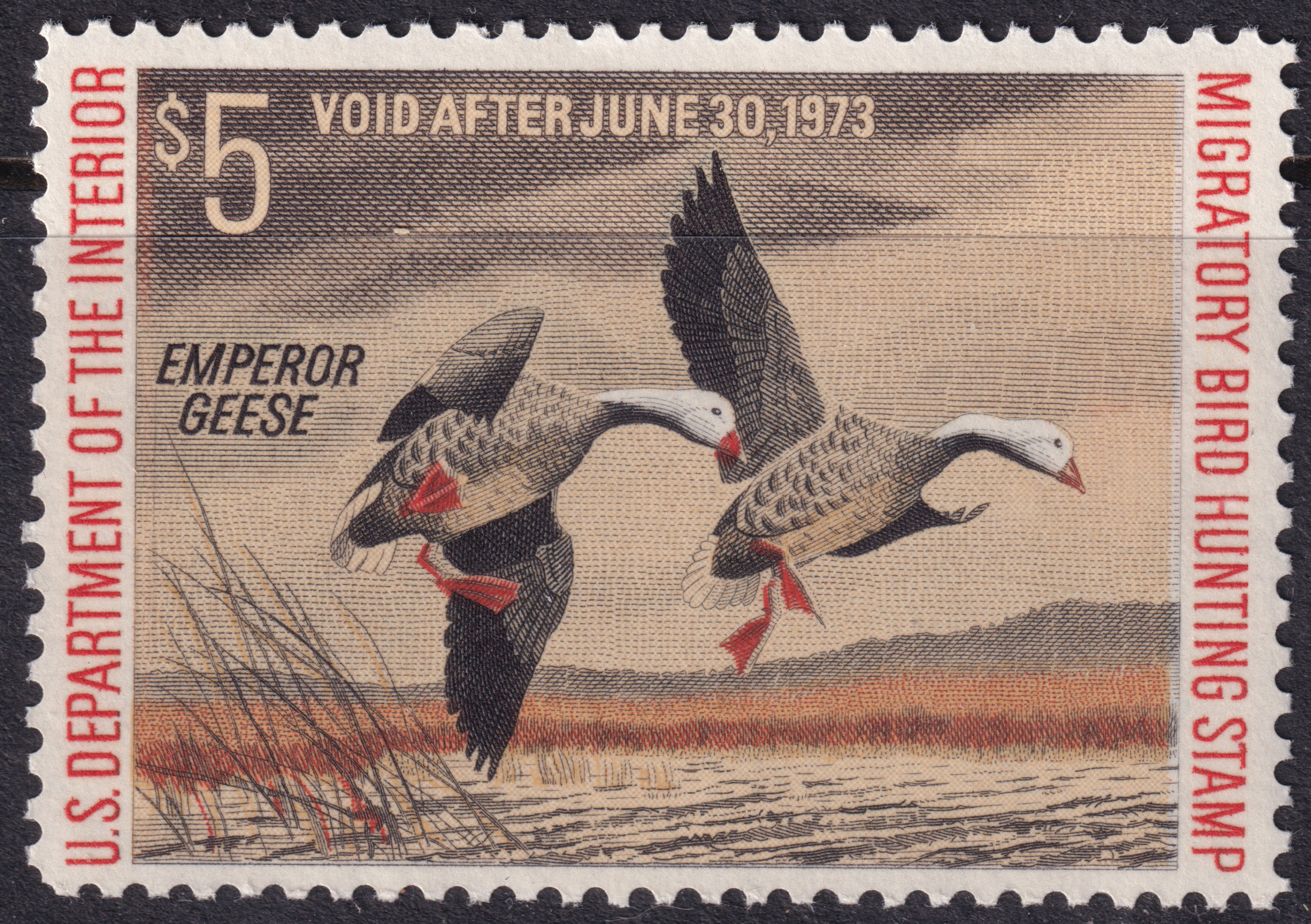 Stamp Picture