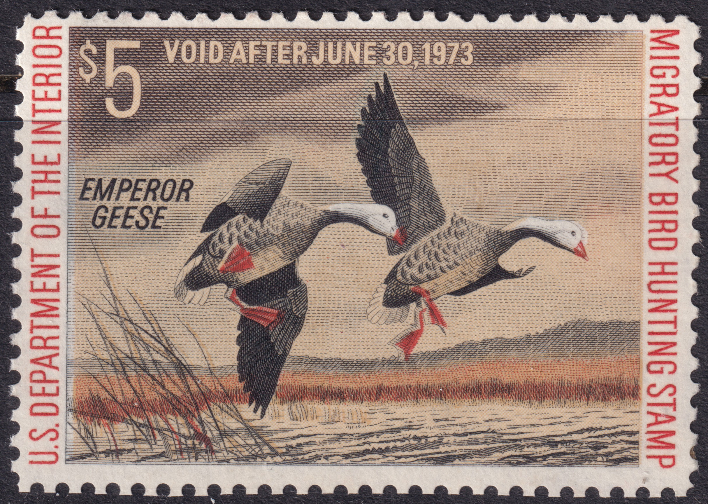 Stamp Picture