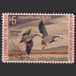 Picture of Lot #55323