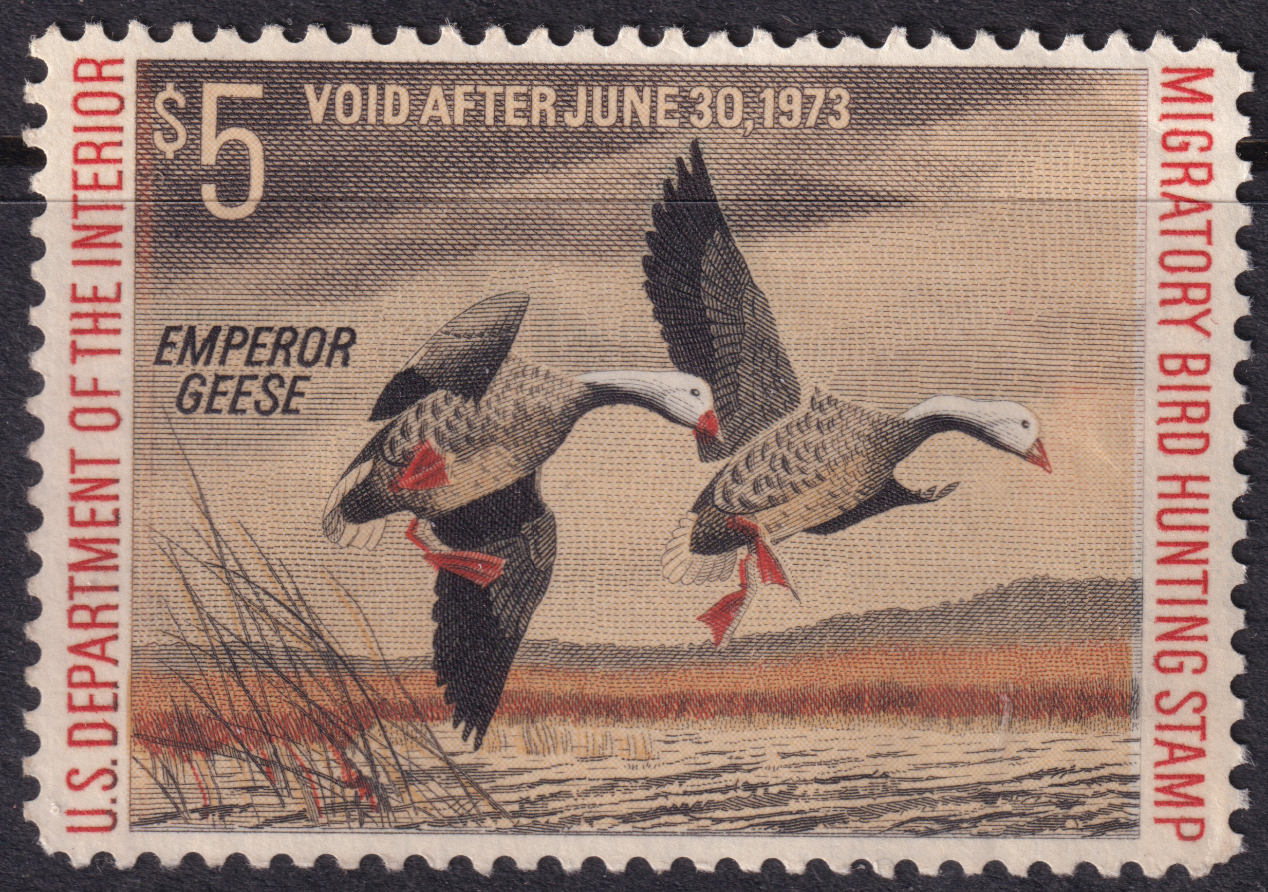 Stamp Picture