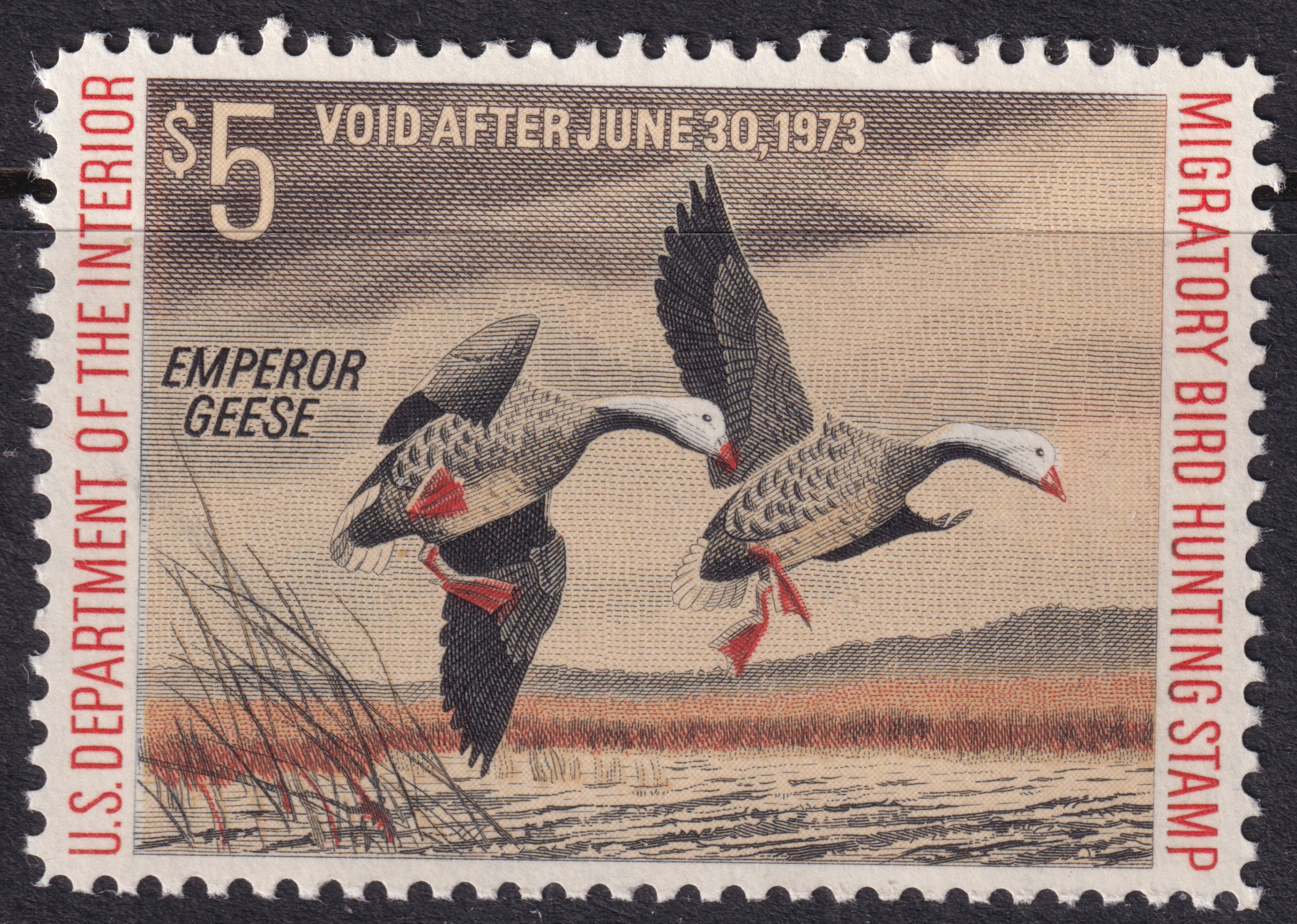 Stamp Picture