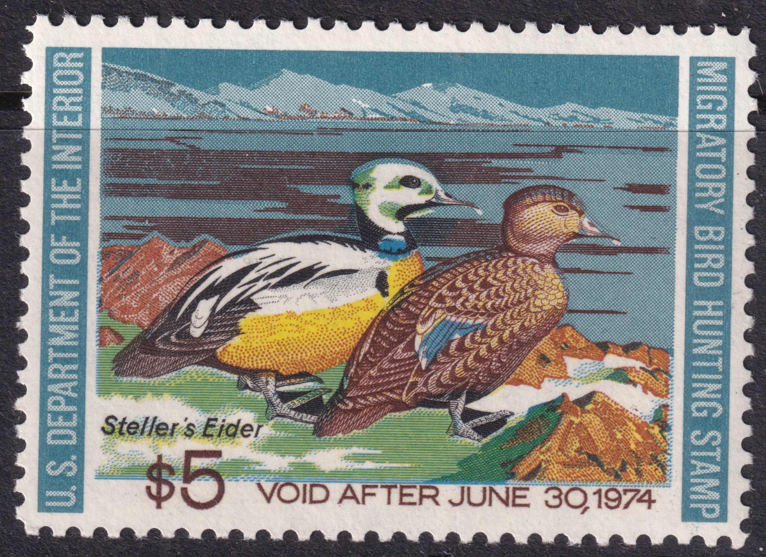 Stamp Picture