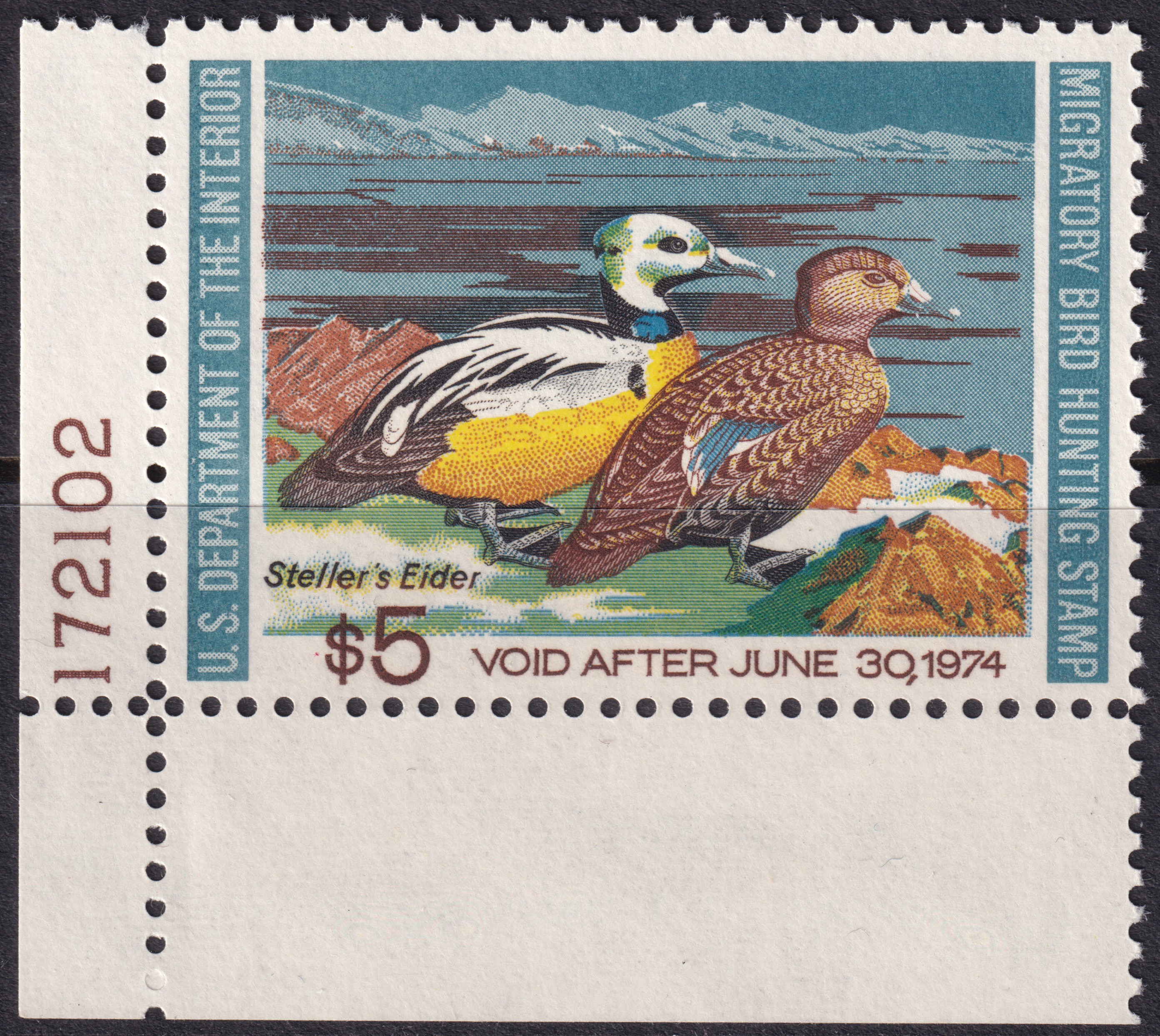Stamp Picture