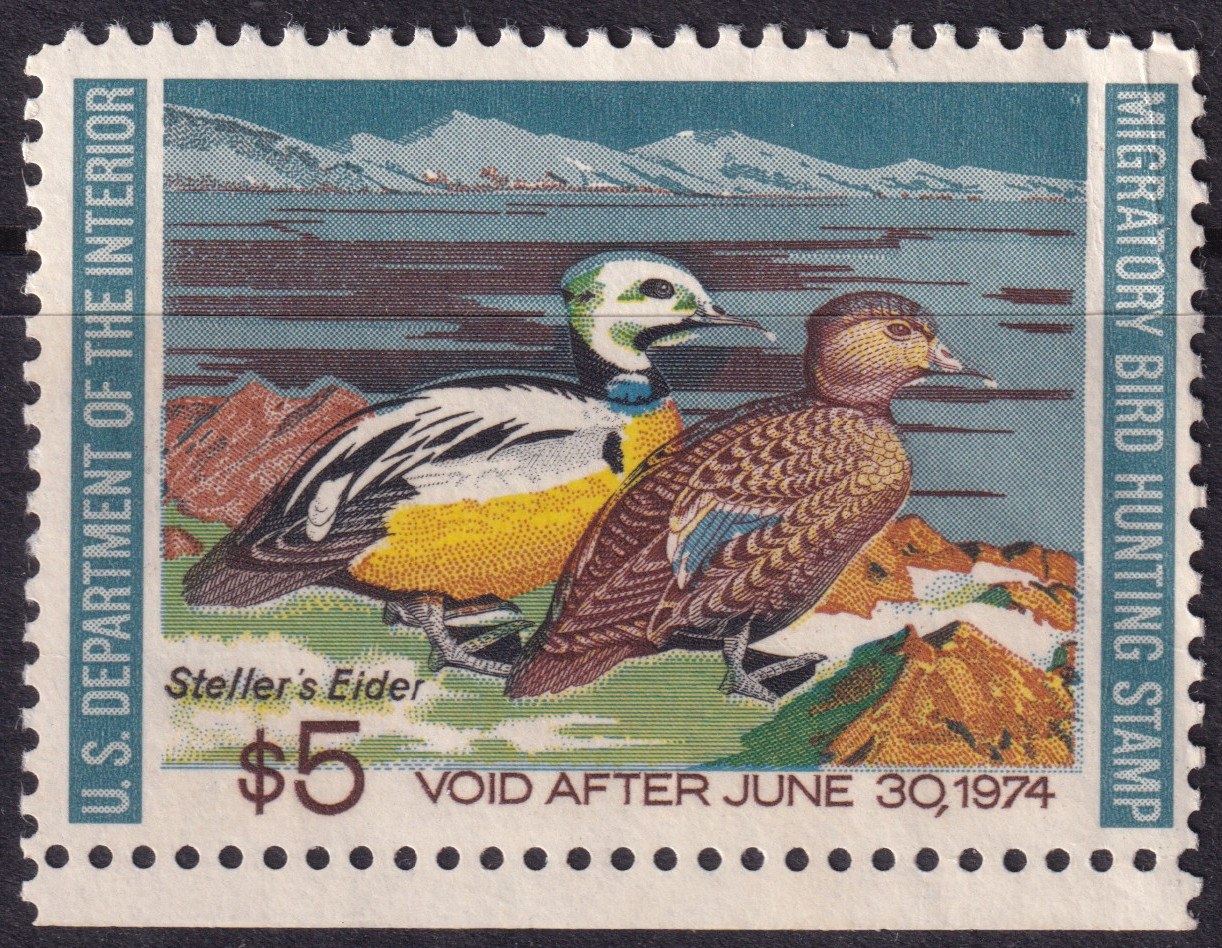 Stamp Picture
